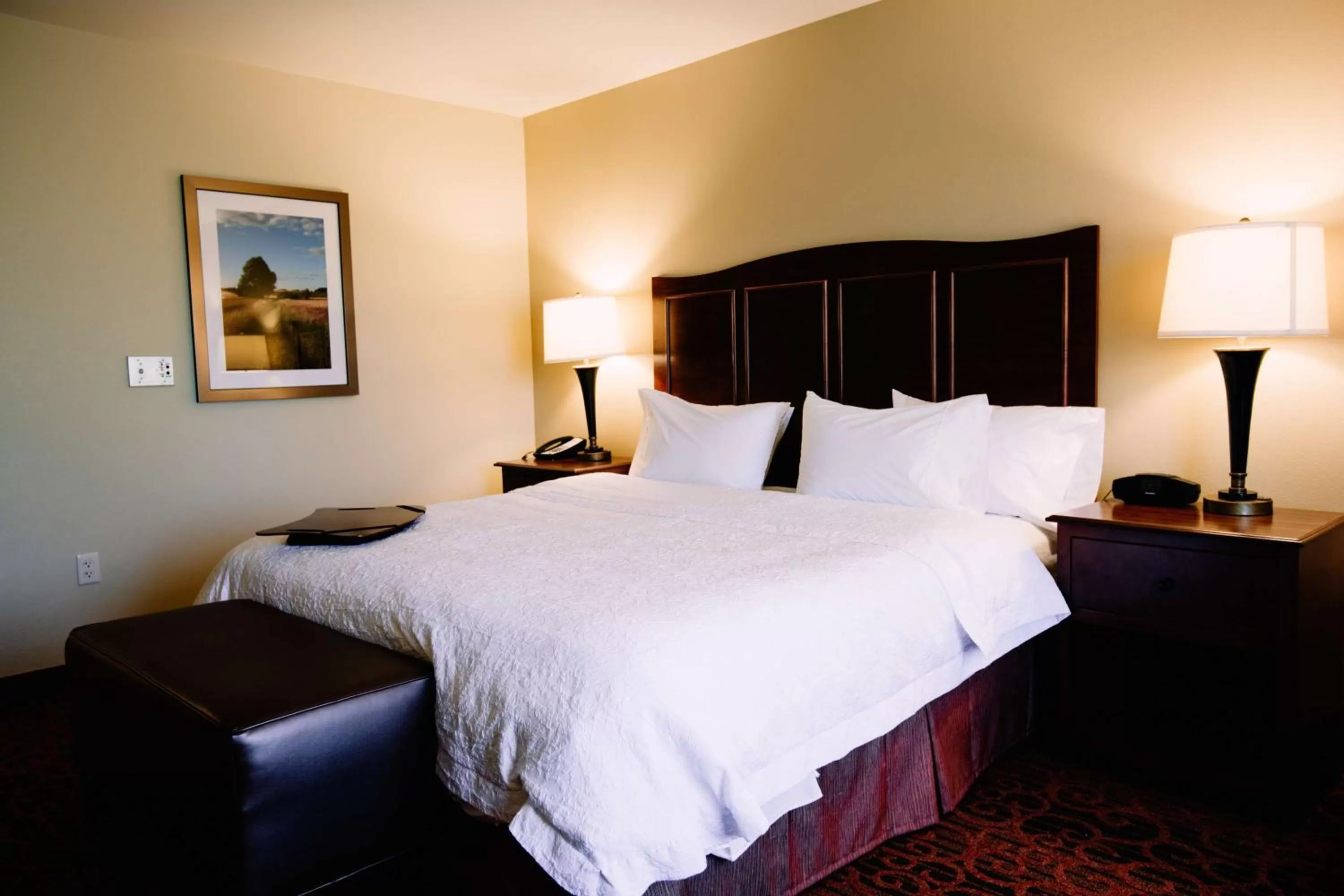 King Room with Accessible Tub - Mobility and Hearing Access/Non-Smoking in Hampton Inn & Suites Minot