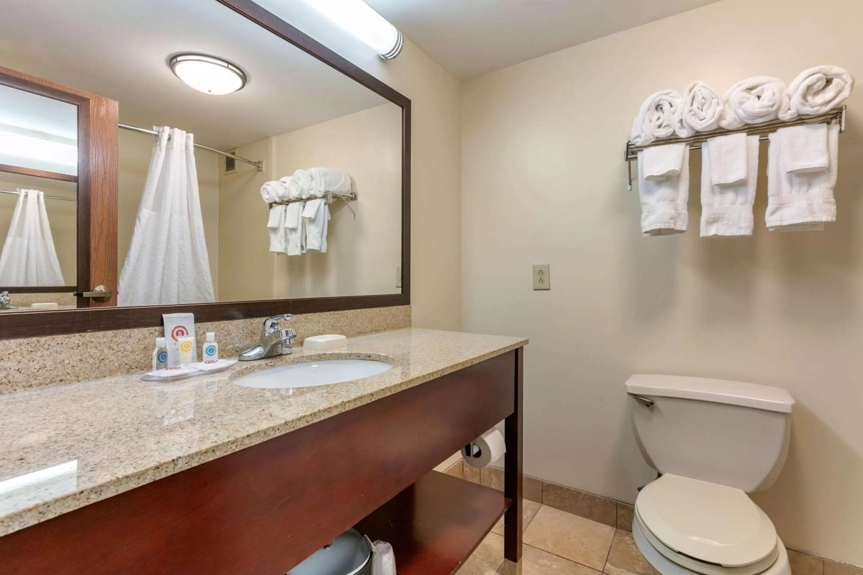 King Suite with Sofa Bed - Non-Smoking in Comfort Inn Chattanooga Downtown Southside