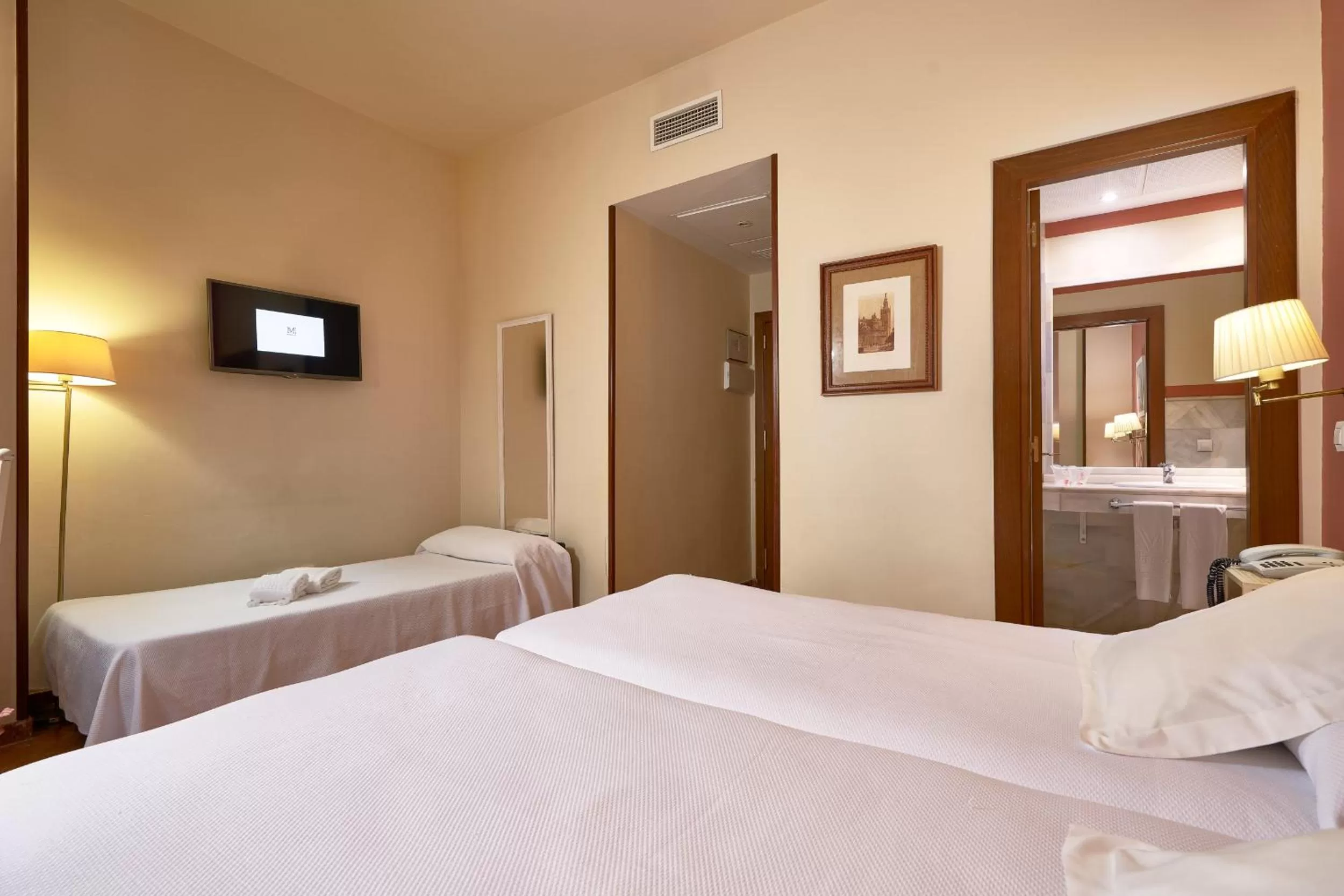 Double Room with Extra Bed (3 Adults) in Hotel Murillo