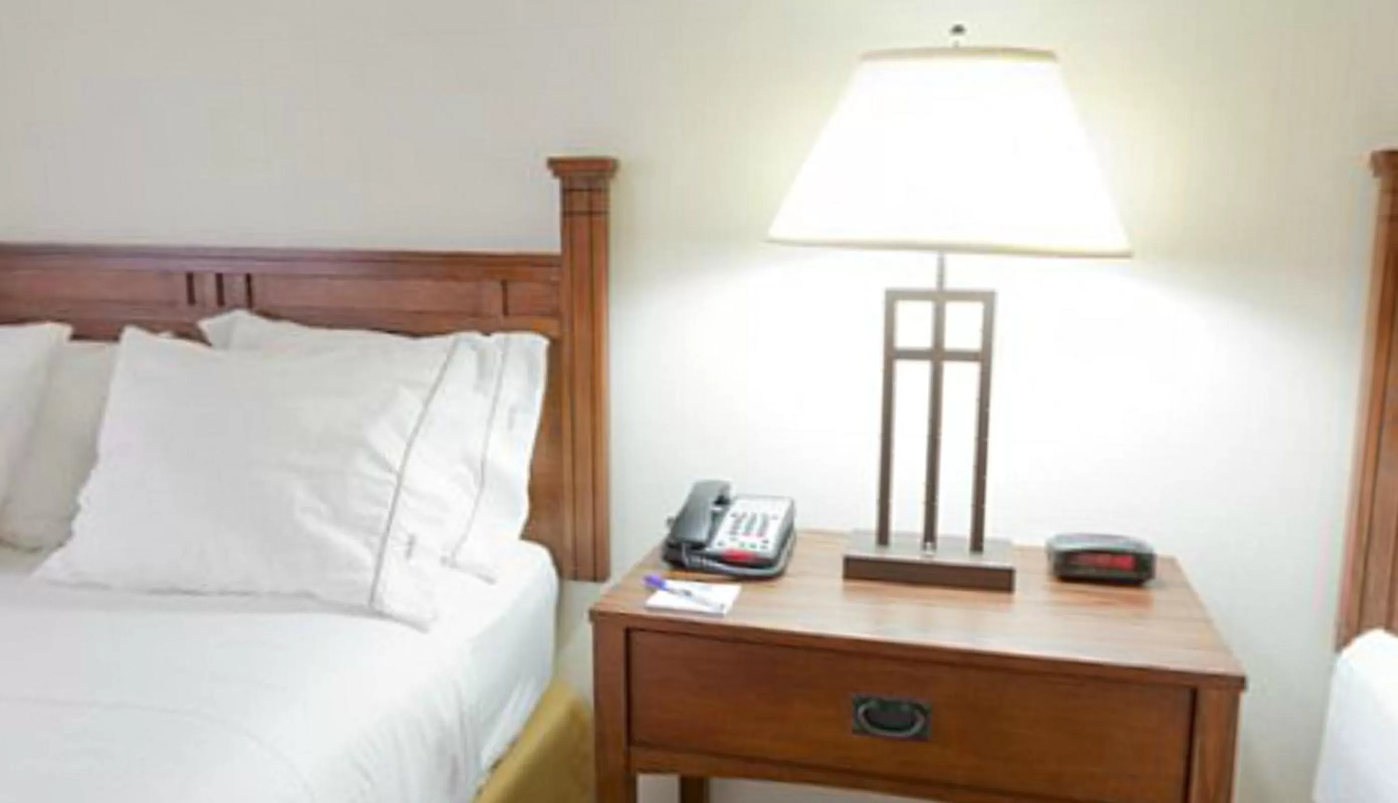 Queen Suite in Holiday Inn Express Hotel & Suites Mattoon by IHG
