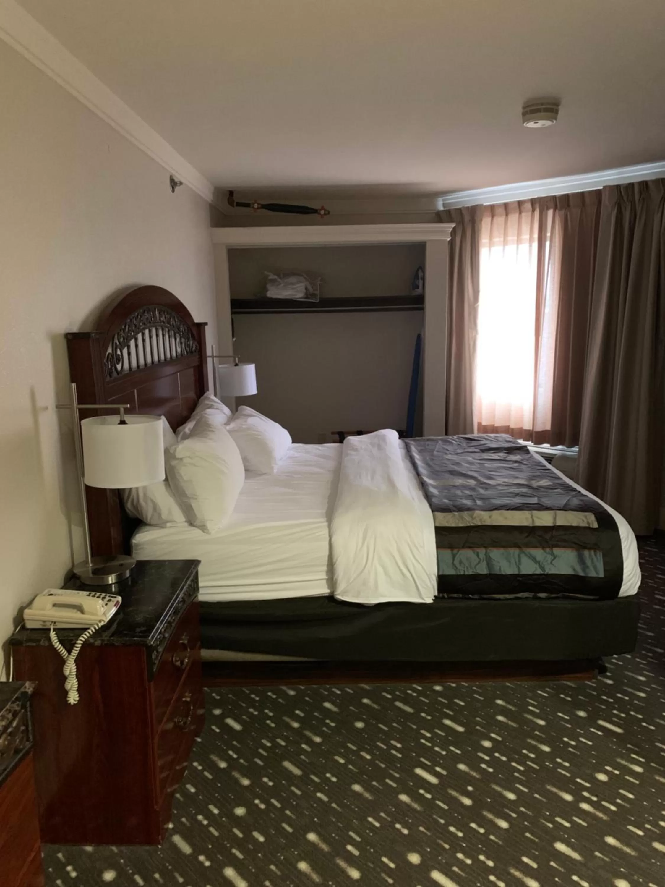 Presidential Suite - Non-Smoking in Wingate by Wyndham Brighton