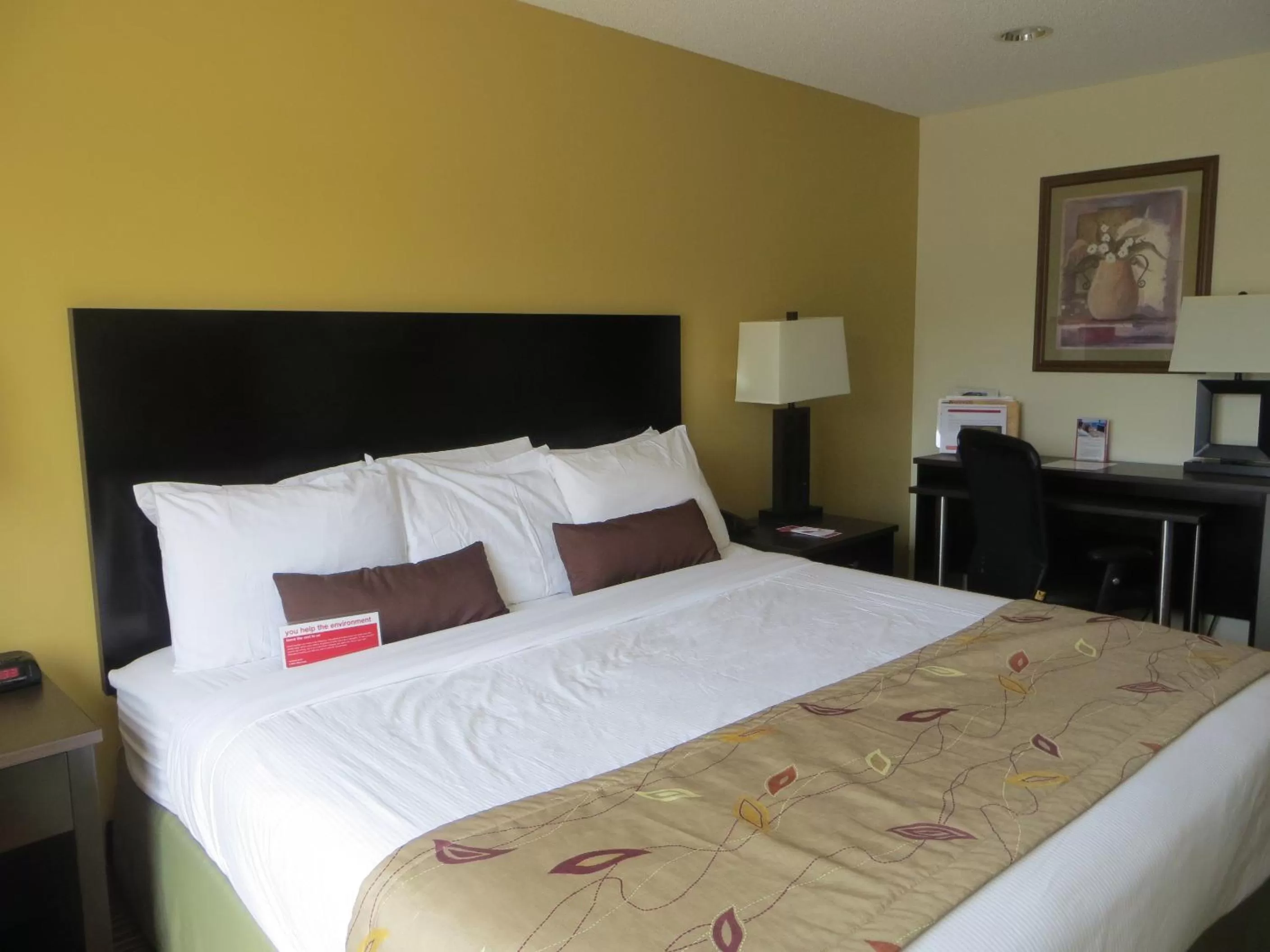 Deluxe King Room - Non-Smoking in Ramada by Wyndham Wisconsin Dells I-90