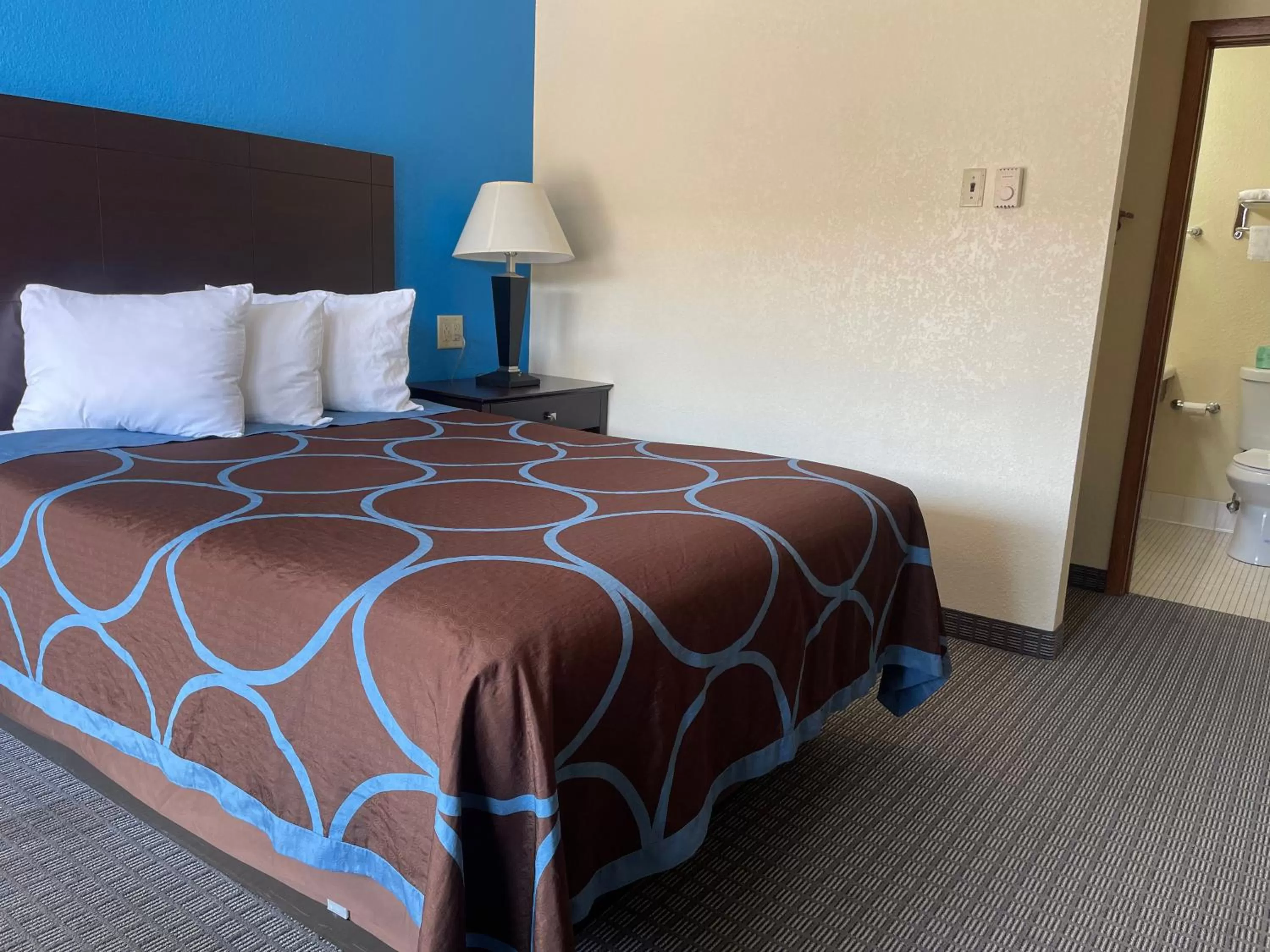 Standard Single Room - single occupancy in Amerivu Inn & Suites