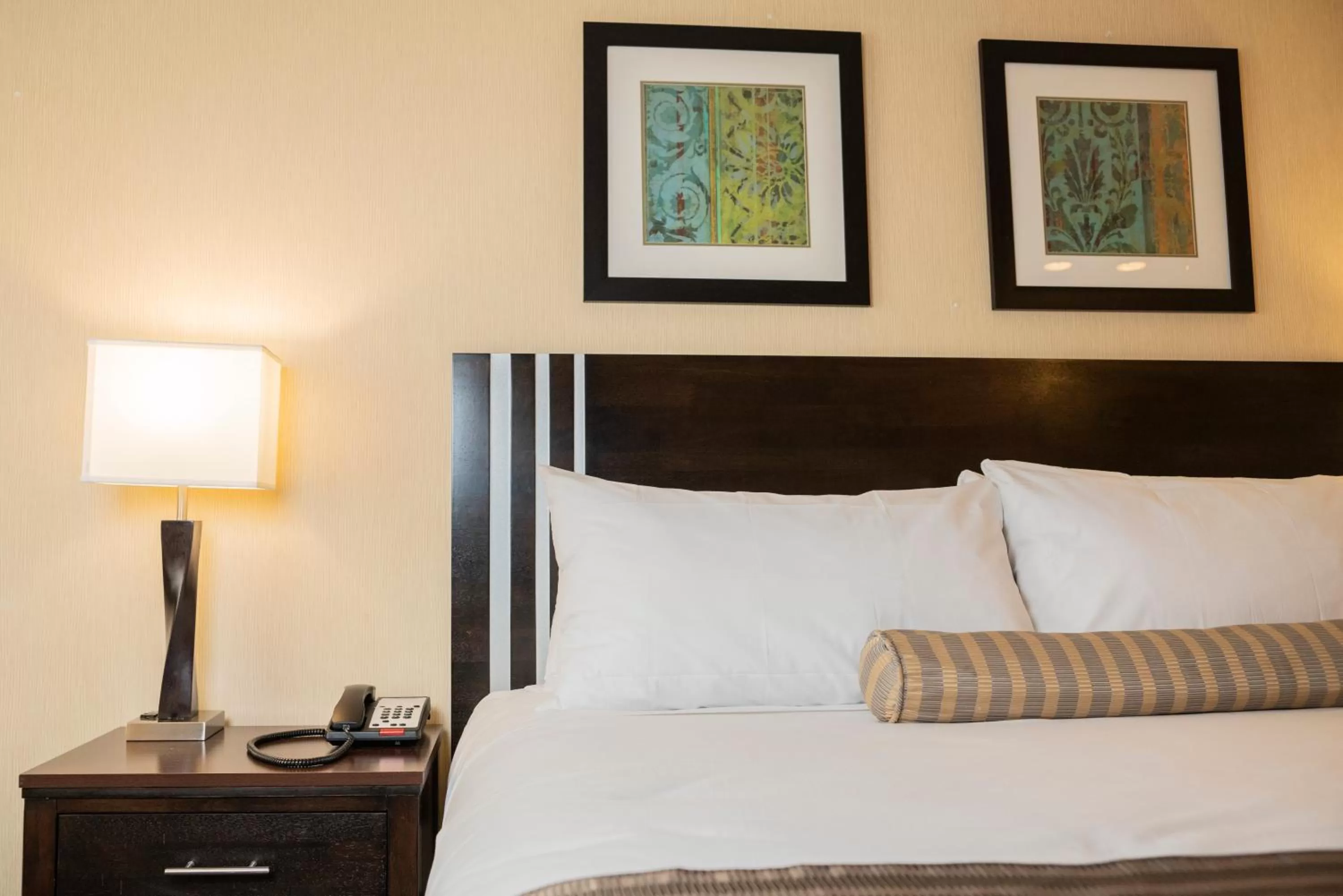 Standard King Room - Smoking in Days Inn by Wyndham Concord