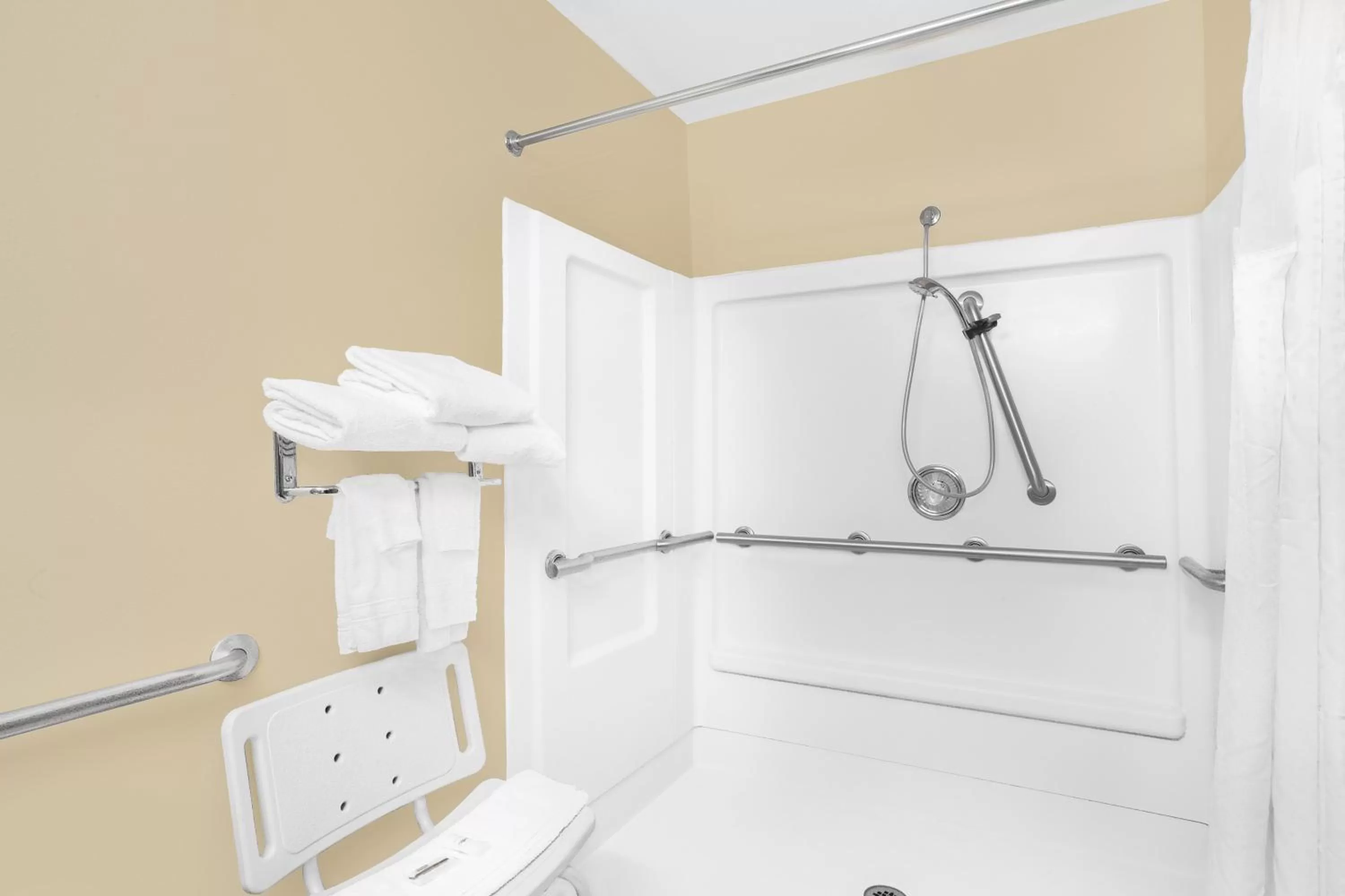 Queen Room with Roll-In Shower - Mobility Accessible/Non-Smoking in Microtel Inn and Suites - Salisbury