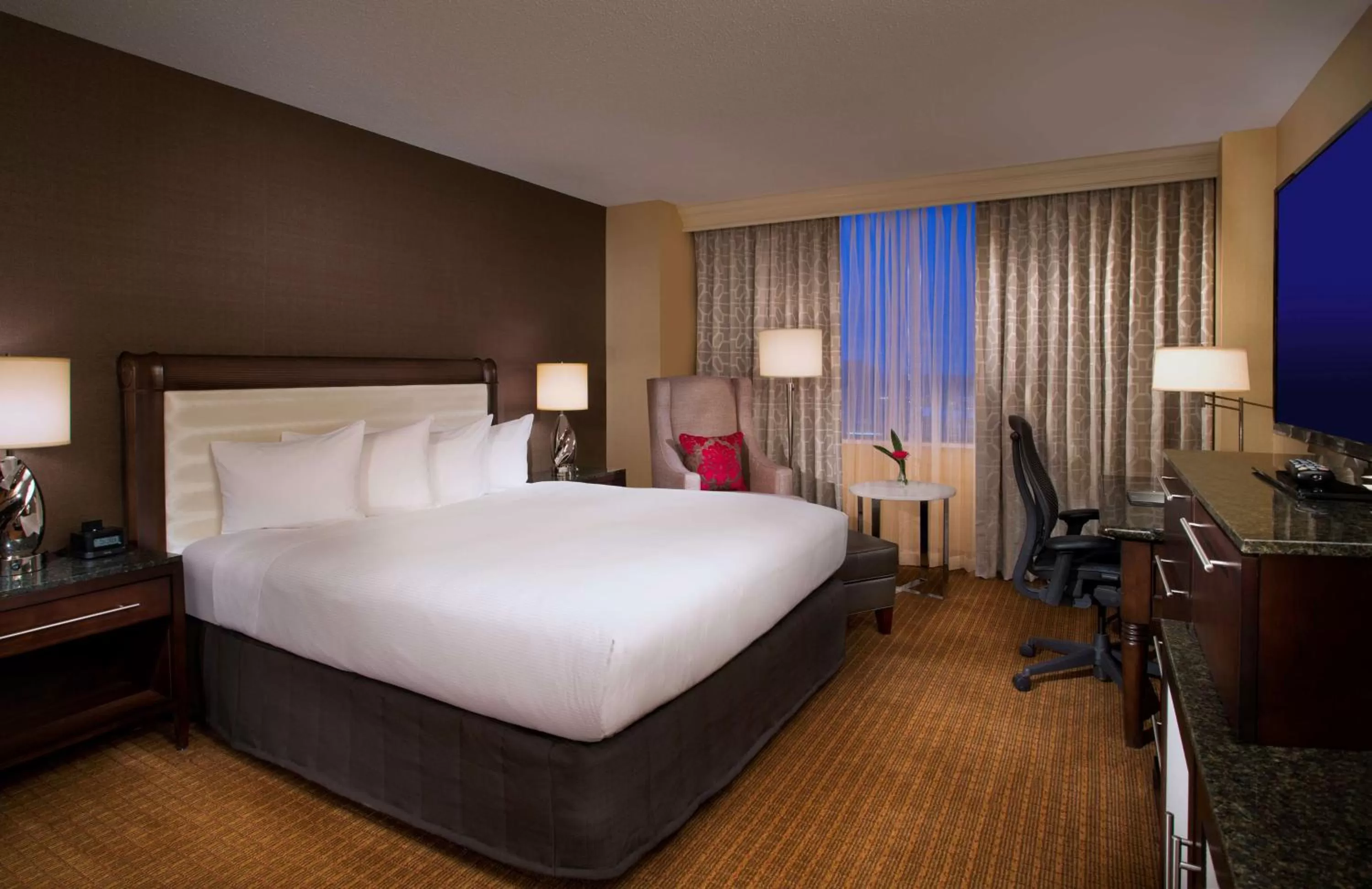 King Room - Disability Access in Hilton Minneapolis