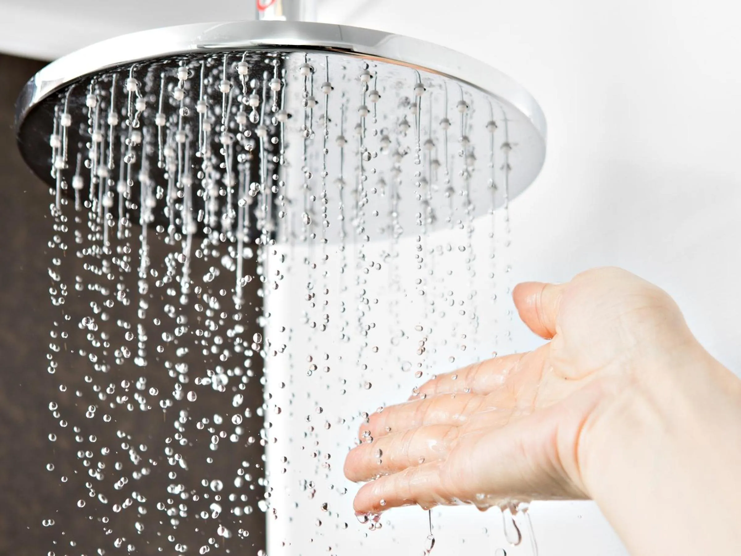 Superior Twin Room in the b ginza