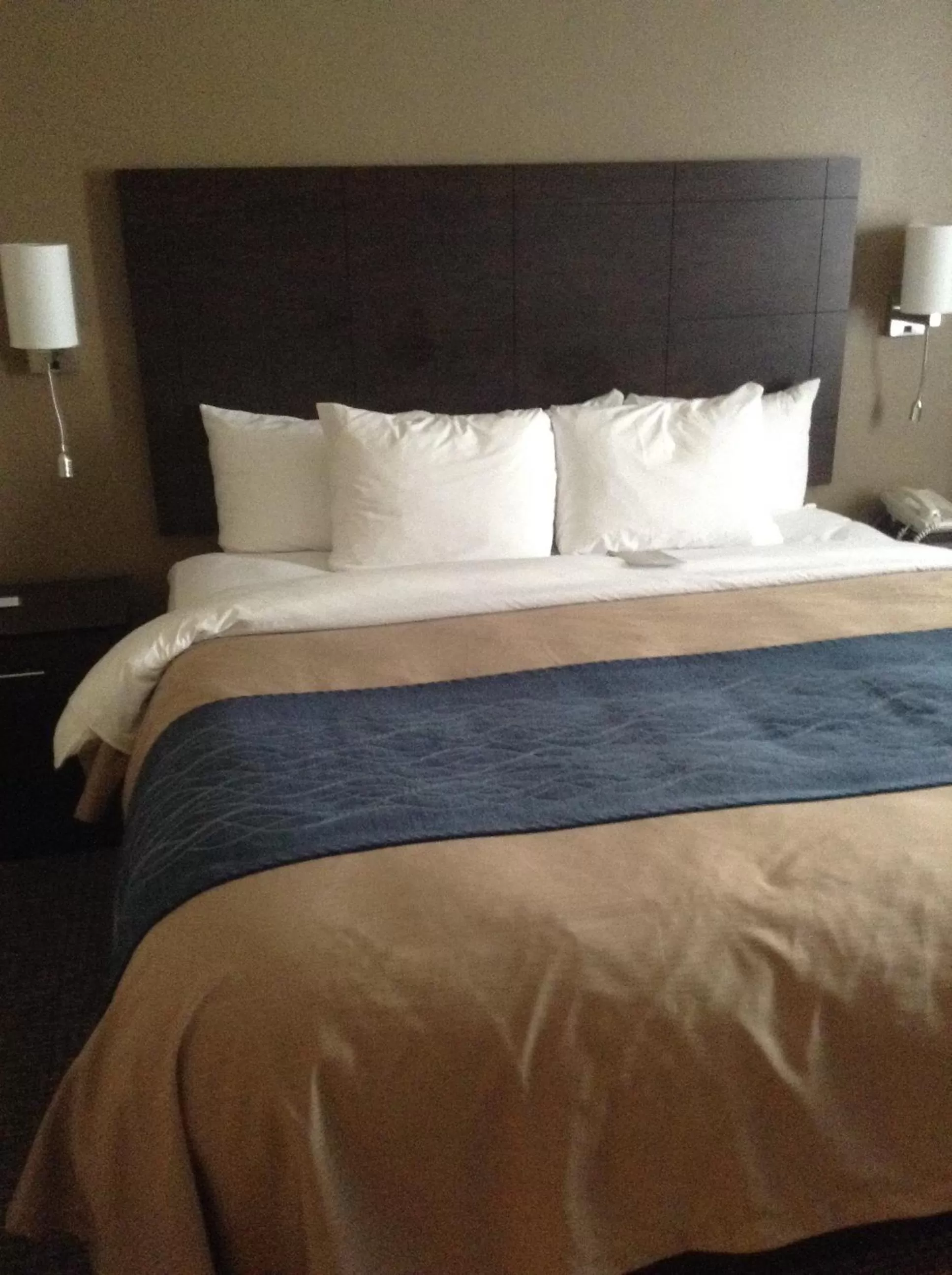 Standard King Room - Non-Smoking  in Comfort Inn & Suites Waterloo - Cedar Falls