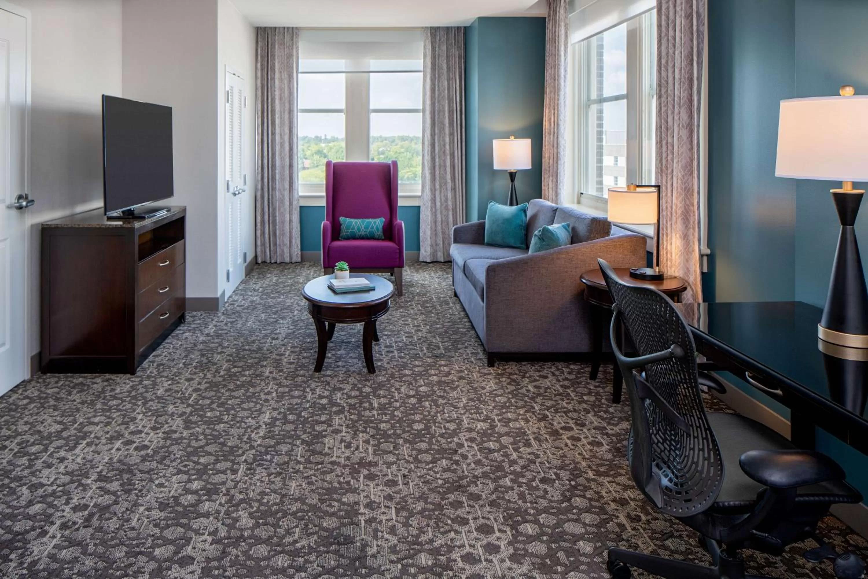 One-Bedroom King Suite with Sofa Bed in Hilton Garden Inn Jackson Downtown