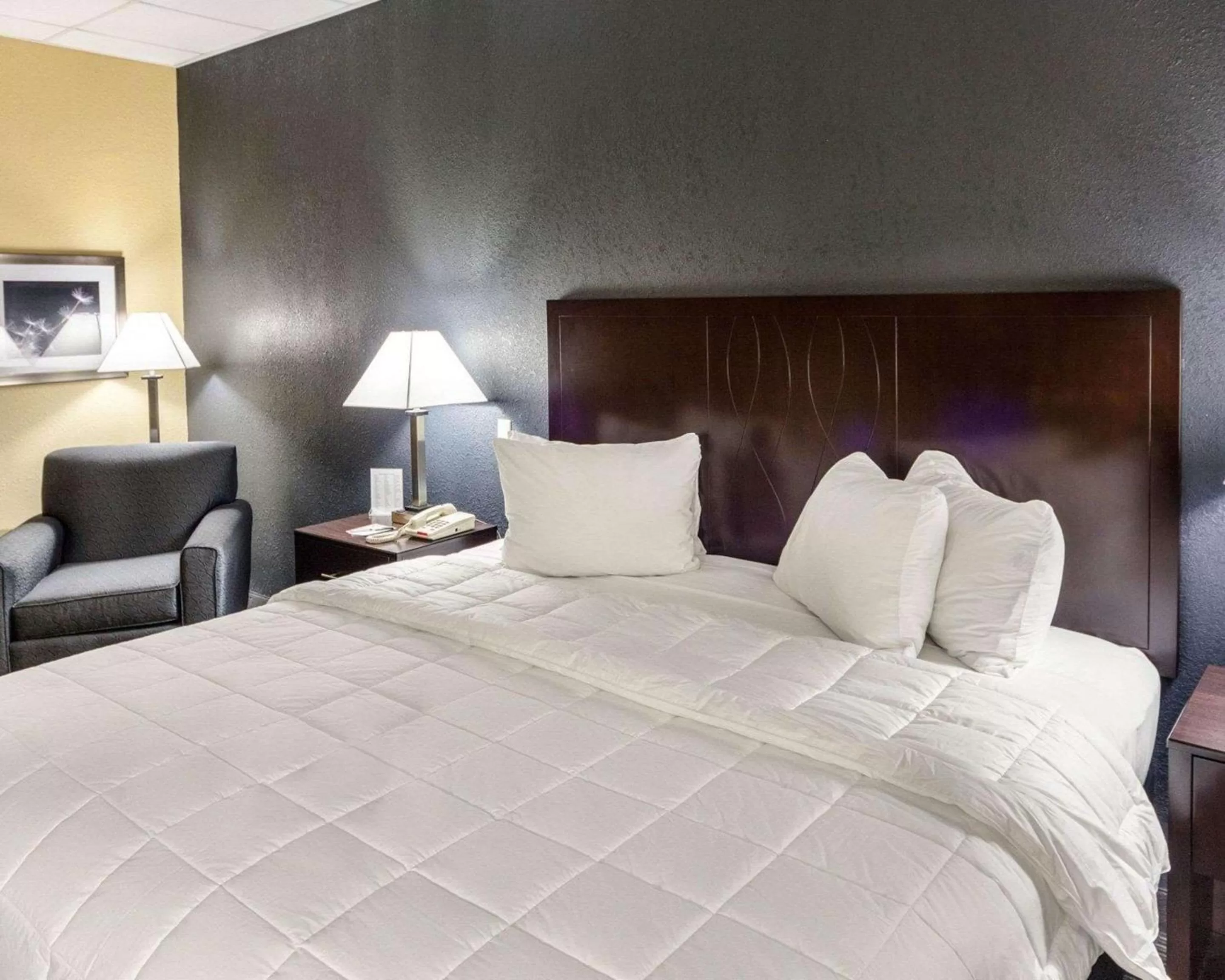 Queen Suite - Disability Access/Non-Smoking in Quality Inn Montpelier