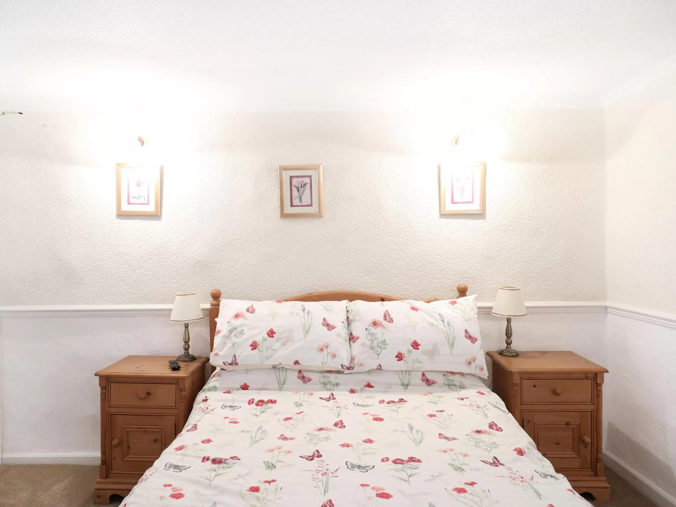 Double Room with Private Bathroom in The Willow Bed and Breakfast