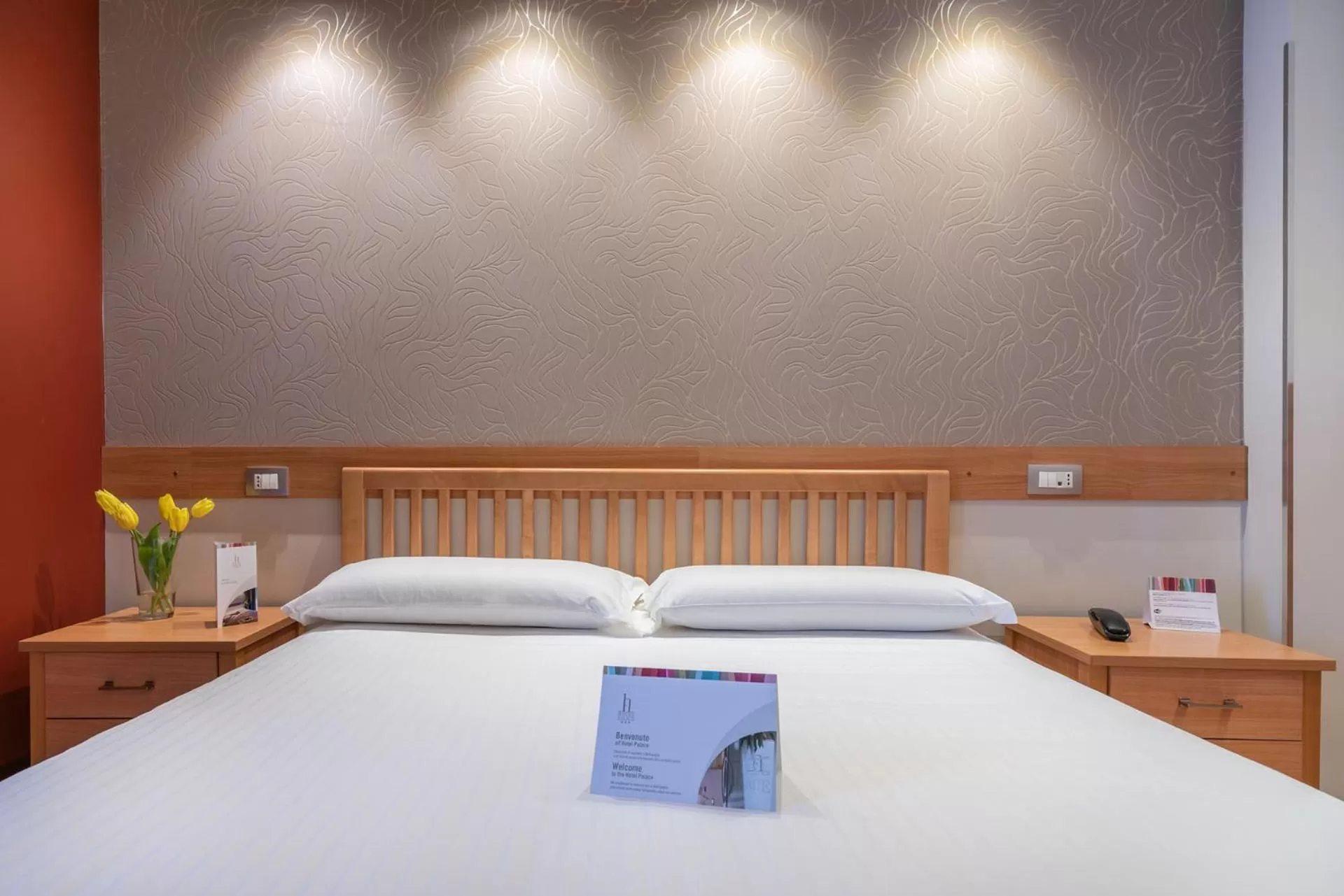 Standard Double Room in Hotel Palace