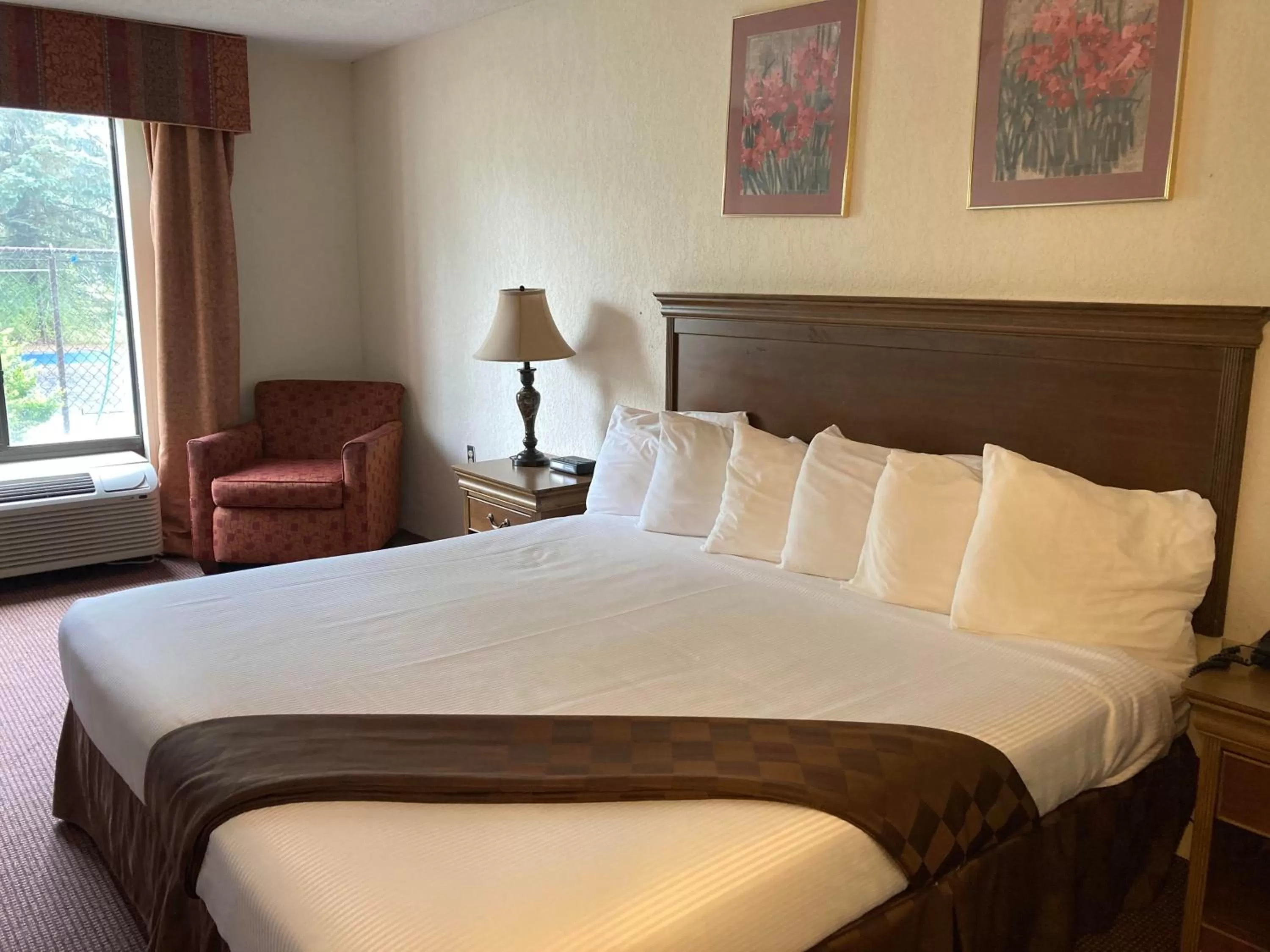 King Room in Americourt Hotel - Mountain City