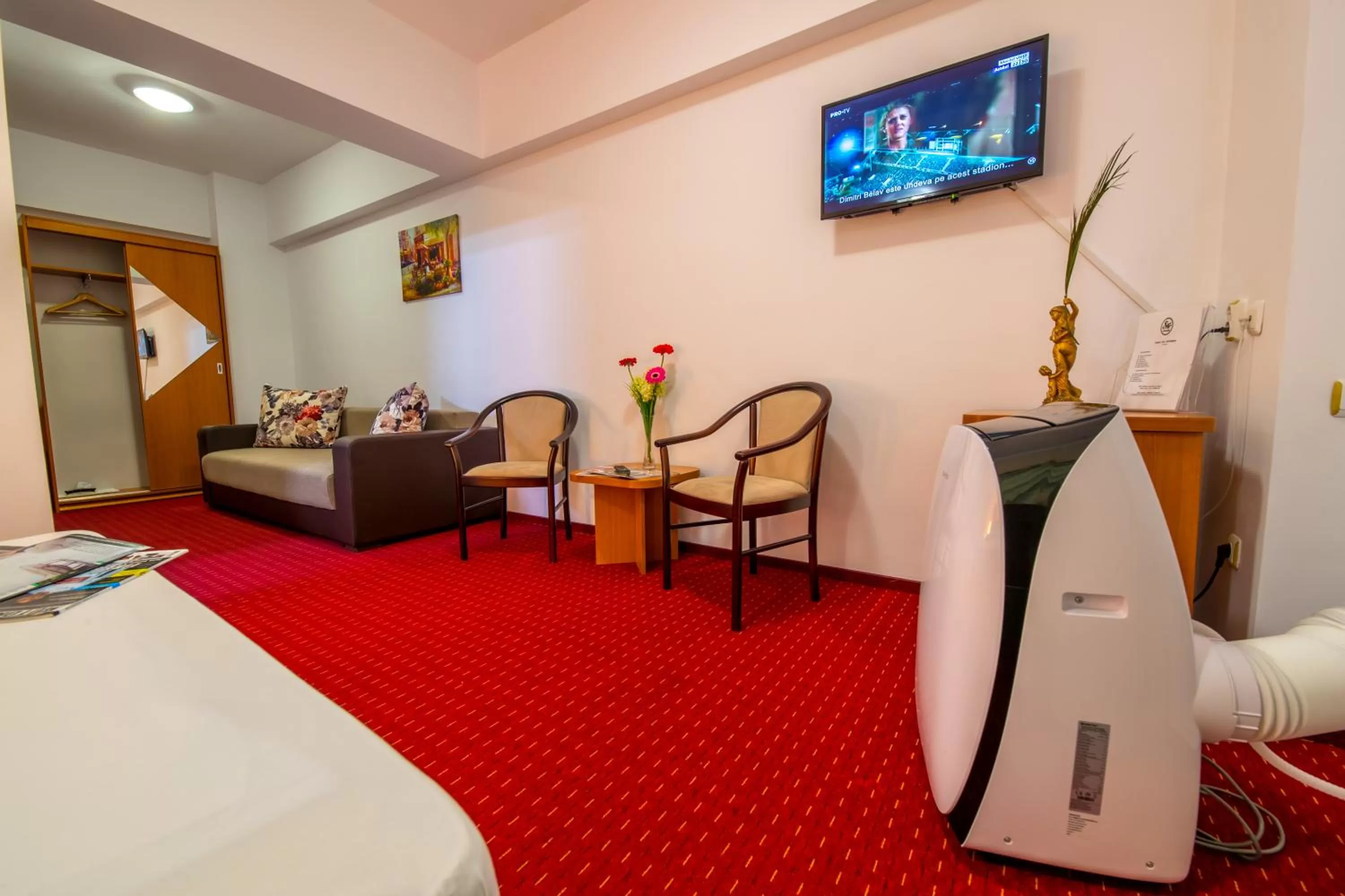 TV and multimedia in Hotel Sir Orhideea