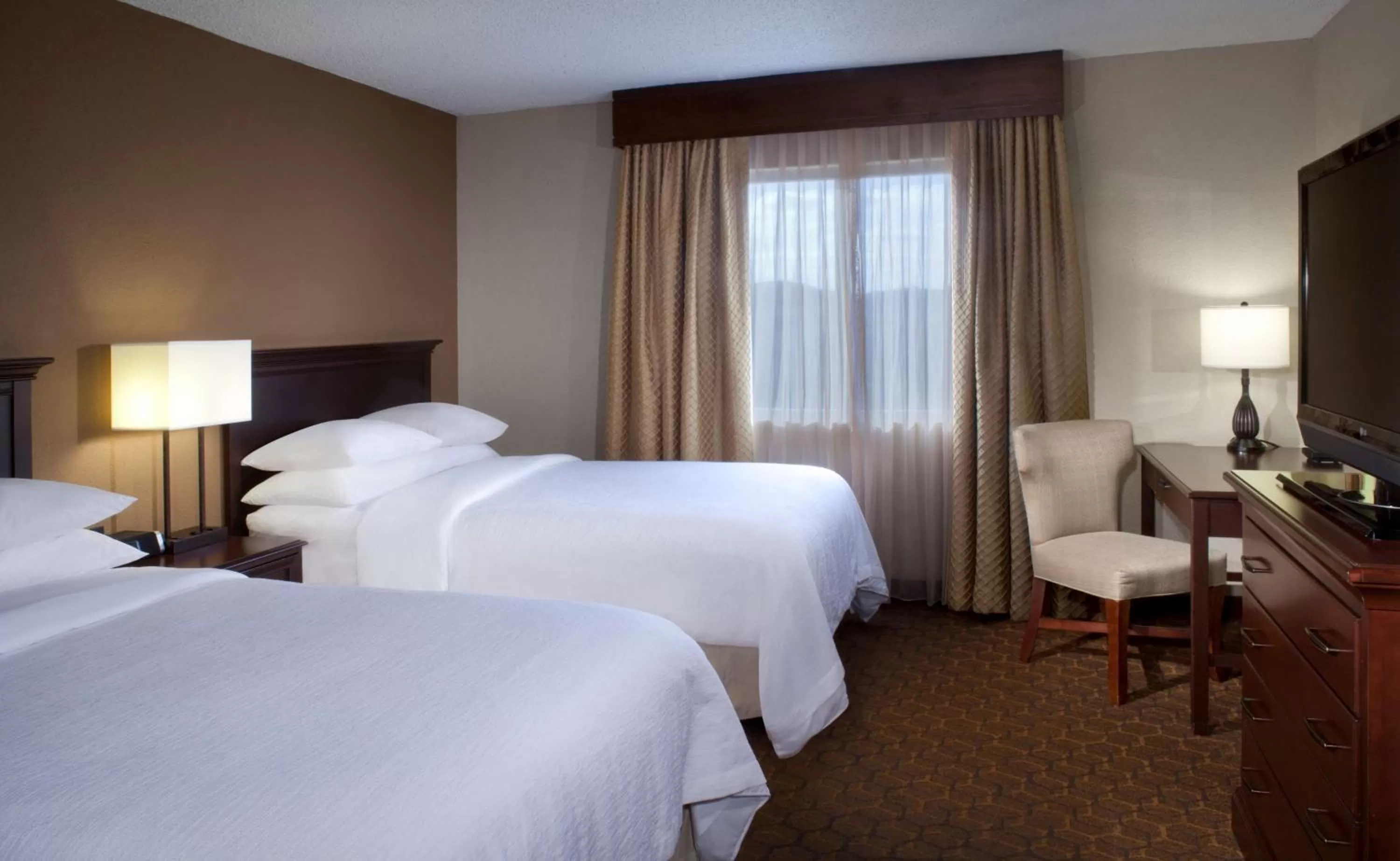 Premium Suite in Embassy Suites by Hilton Austin Arboretum