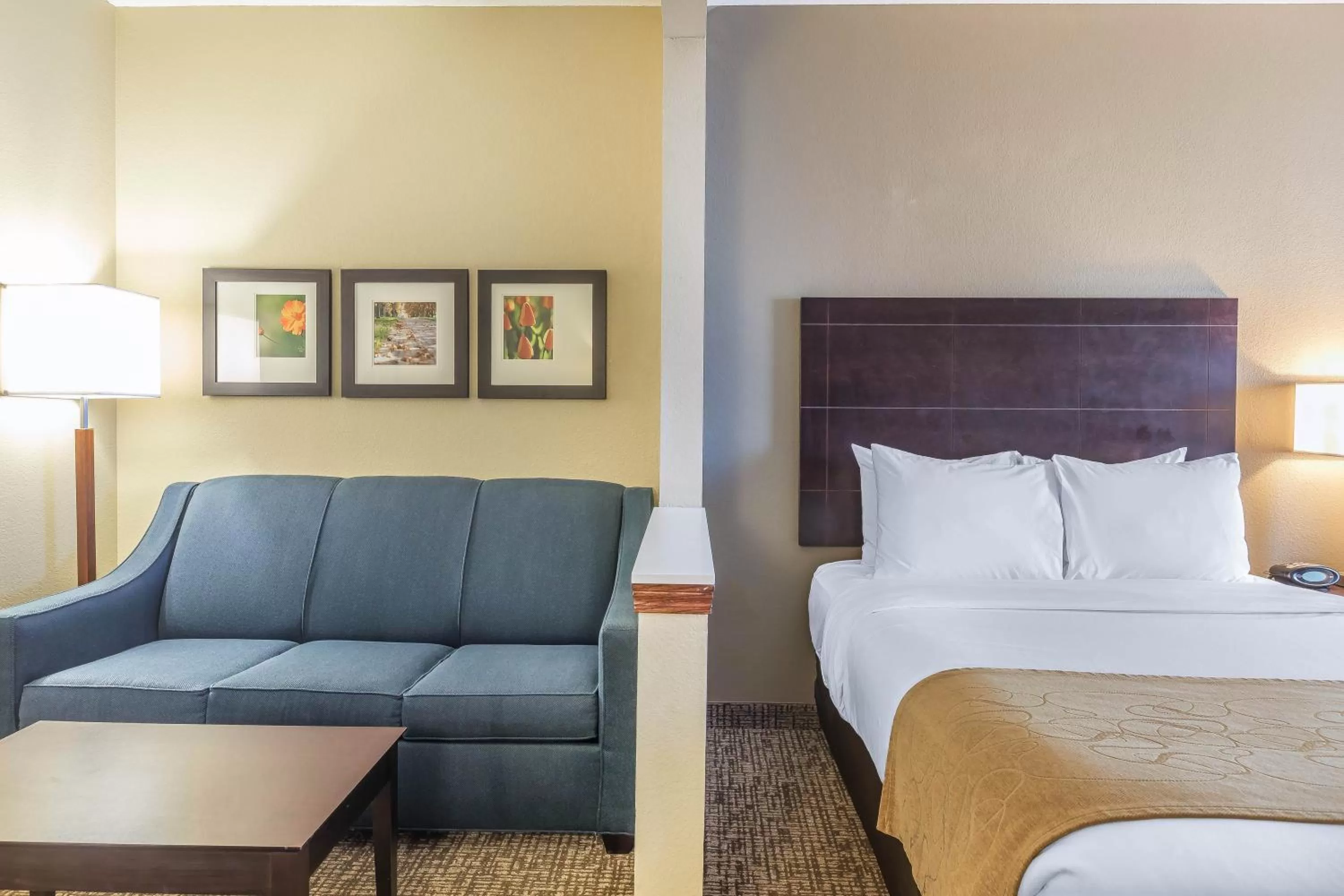 King Suite - Non-Smoking in Comfort Suites North