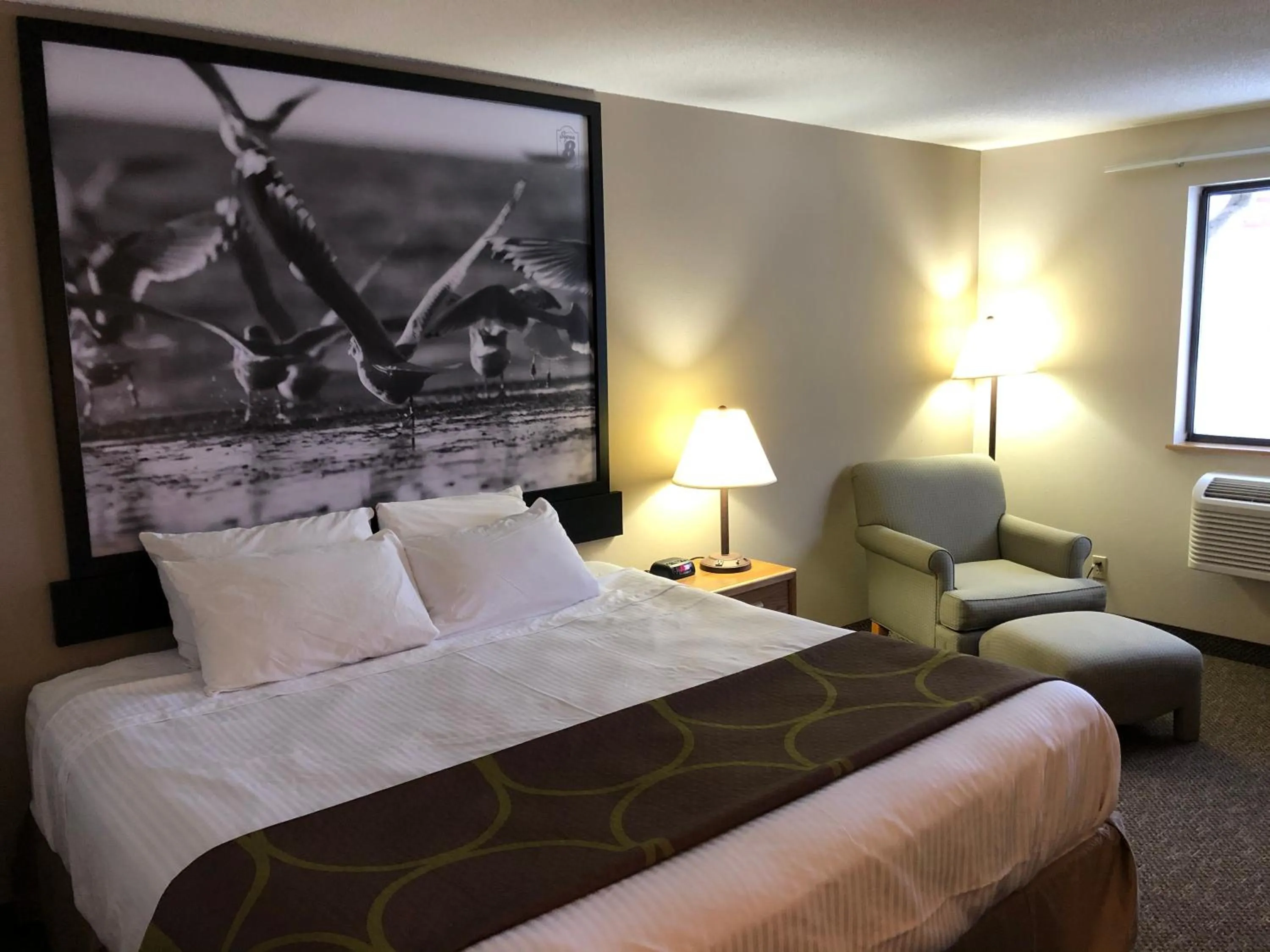 King Room- Non-Smoking in Super 8 by Wyndham Salmon Arm