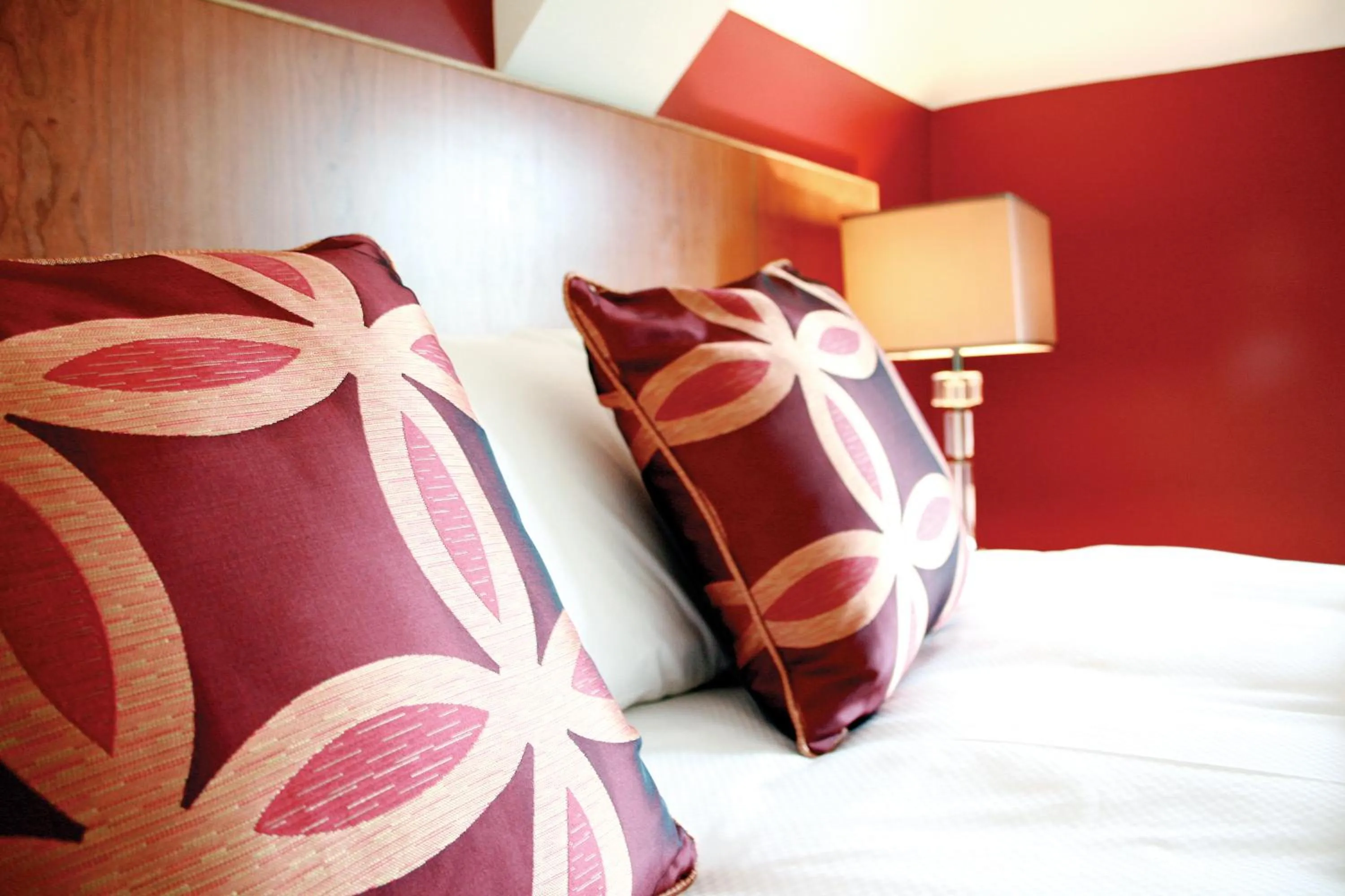 Standard Double Room - single occupancy in Silverbirch Hotel