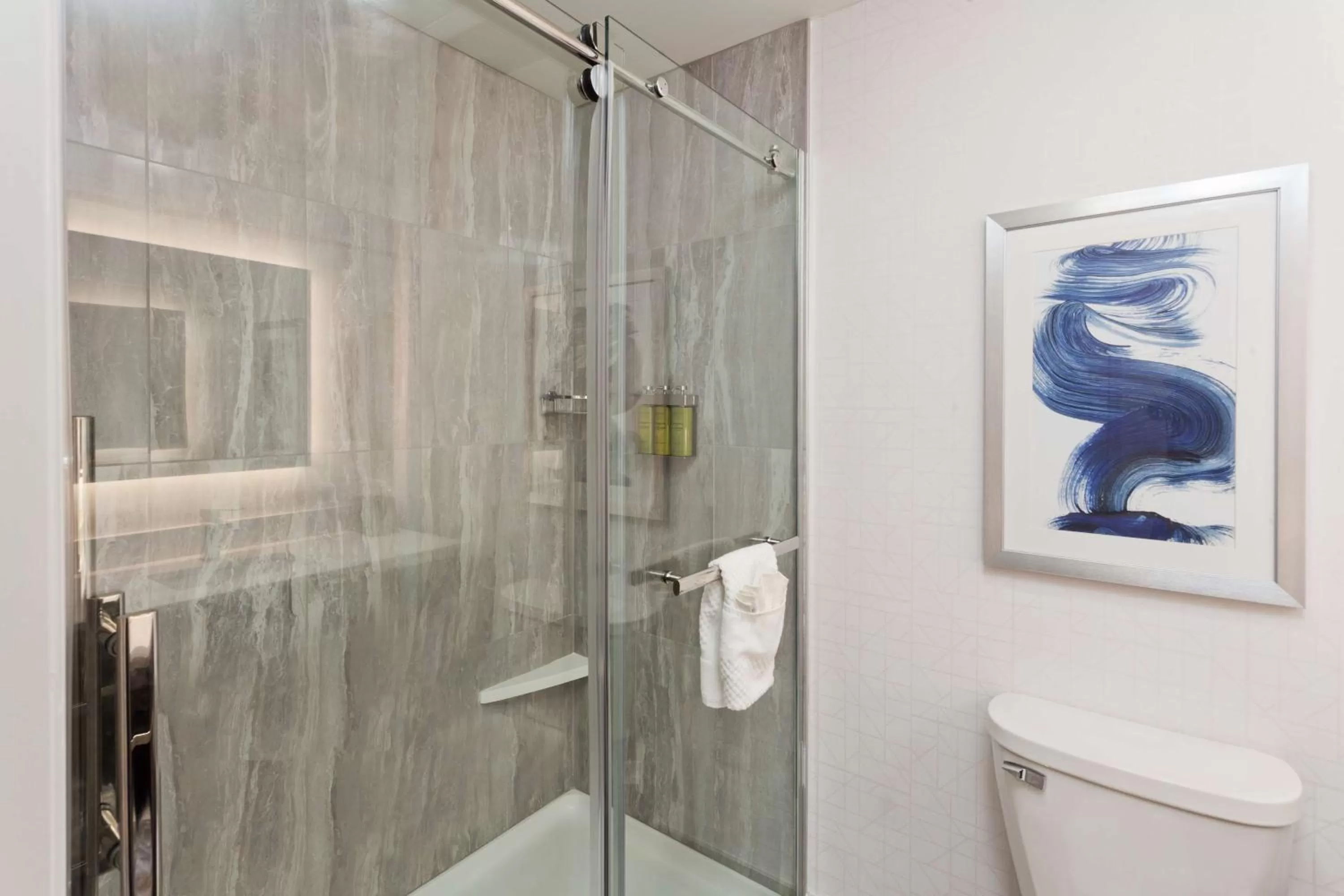 King Room with Roll-In Shower - Mobility Hearing Accessible in Doubletree By Hilton Dothan, Al