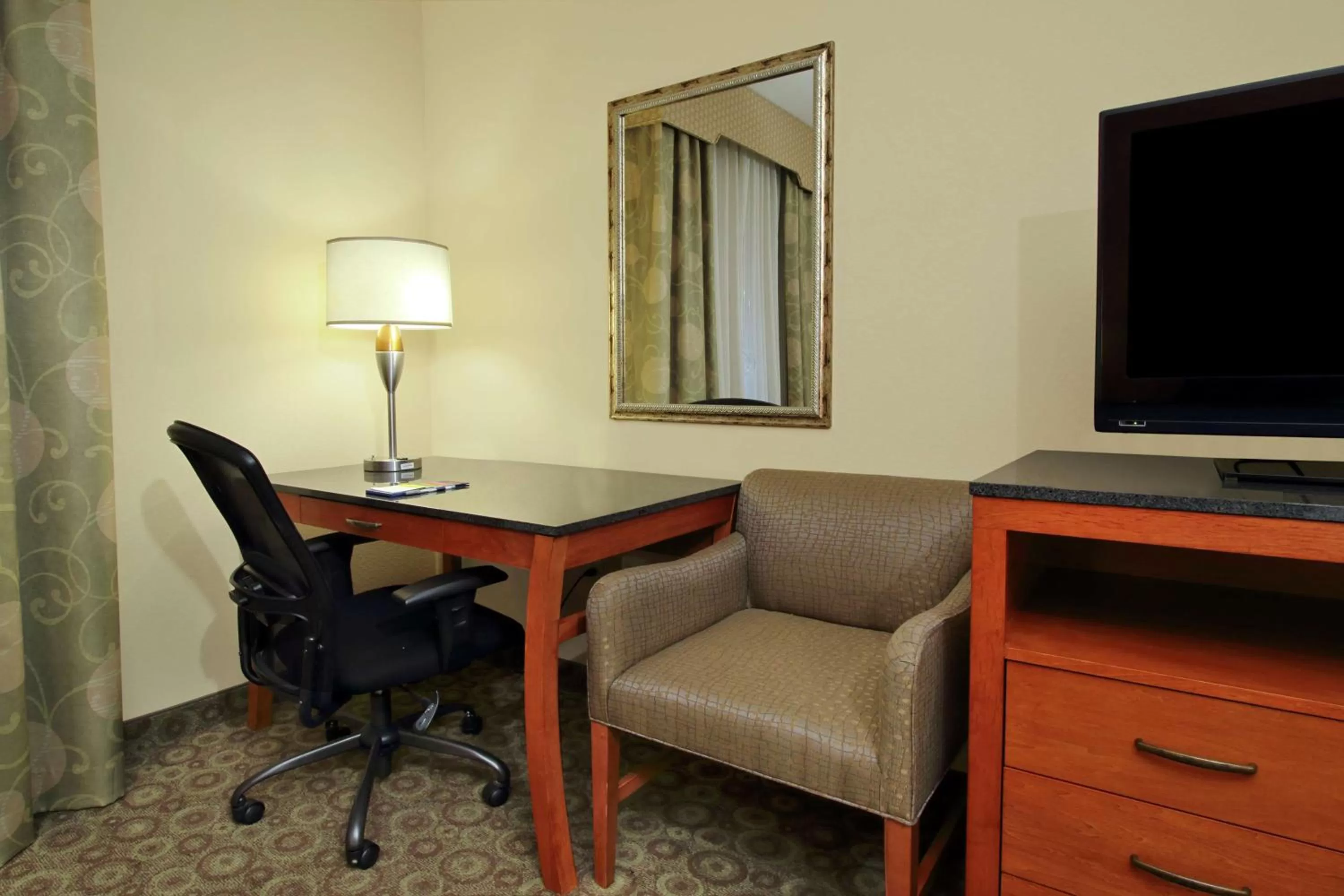 King Room with Roll-In Shower - Disability Access in Hampton Inn & Suites Buffalo