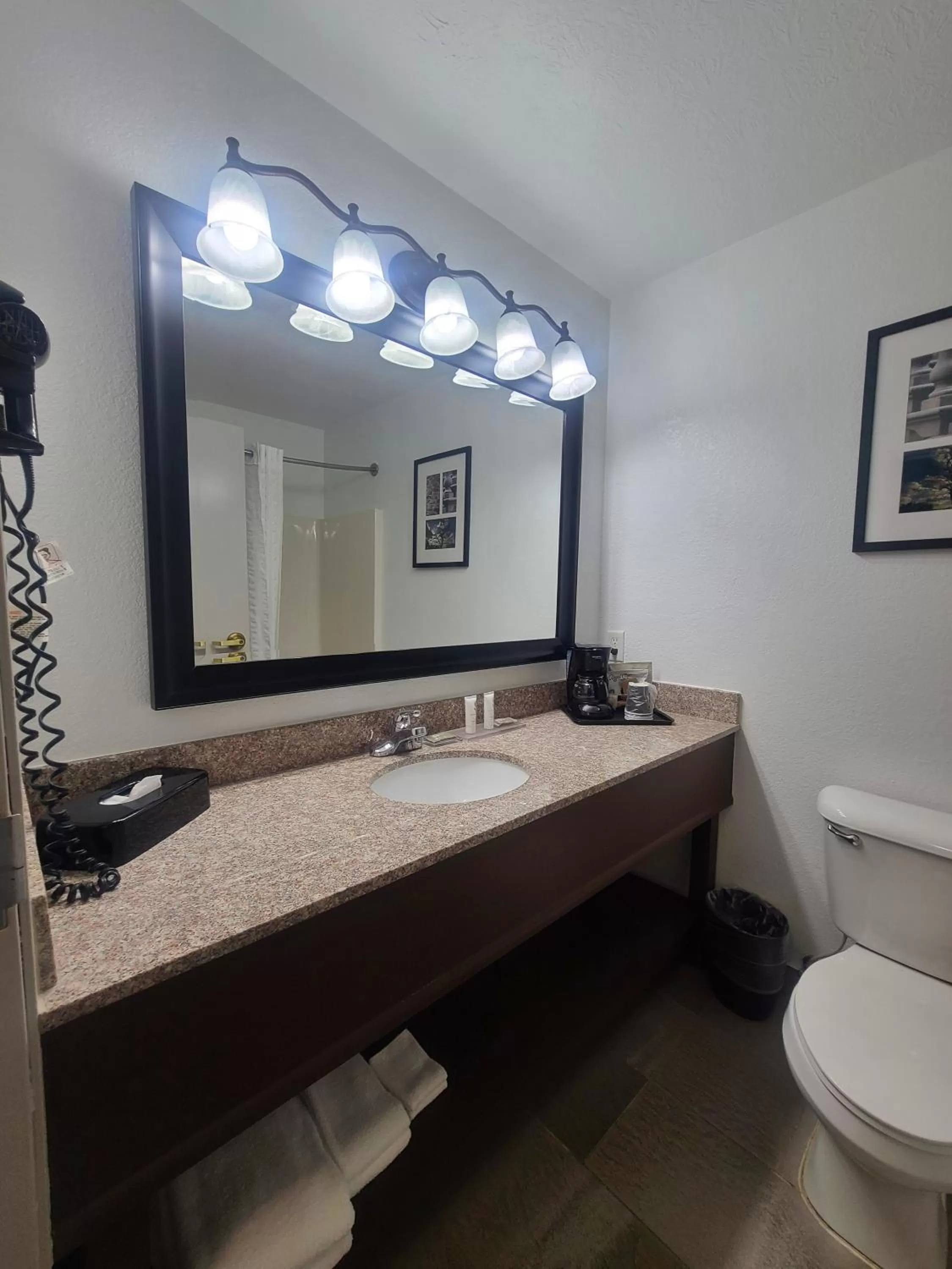 King Suite with Sofa Bed - Non-Smoking in Garner Hotel Paducah West