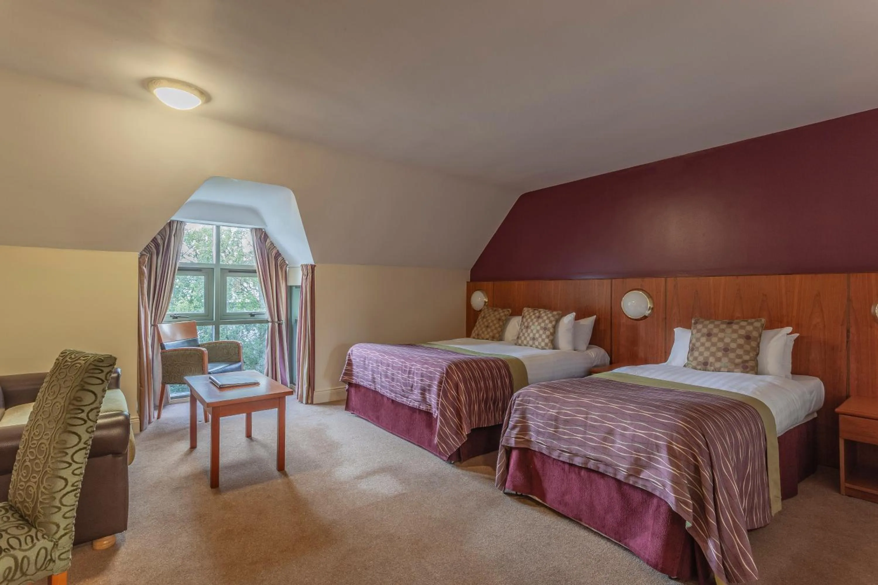 Standard Family Room - single occupancy in Silverbirch Hotel