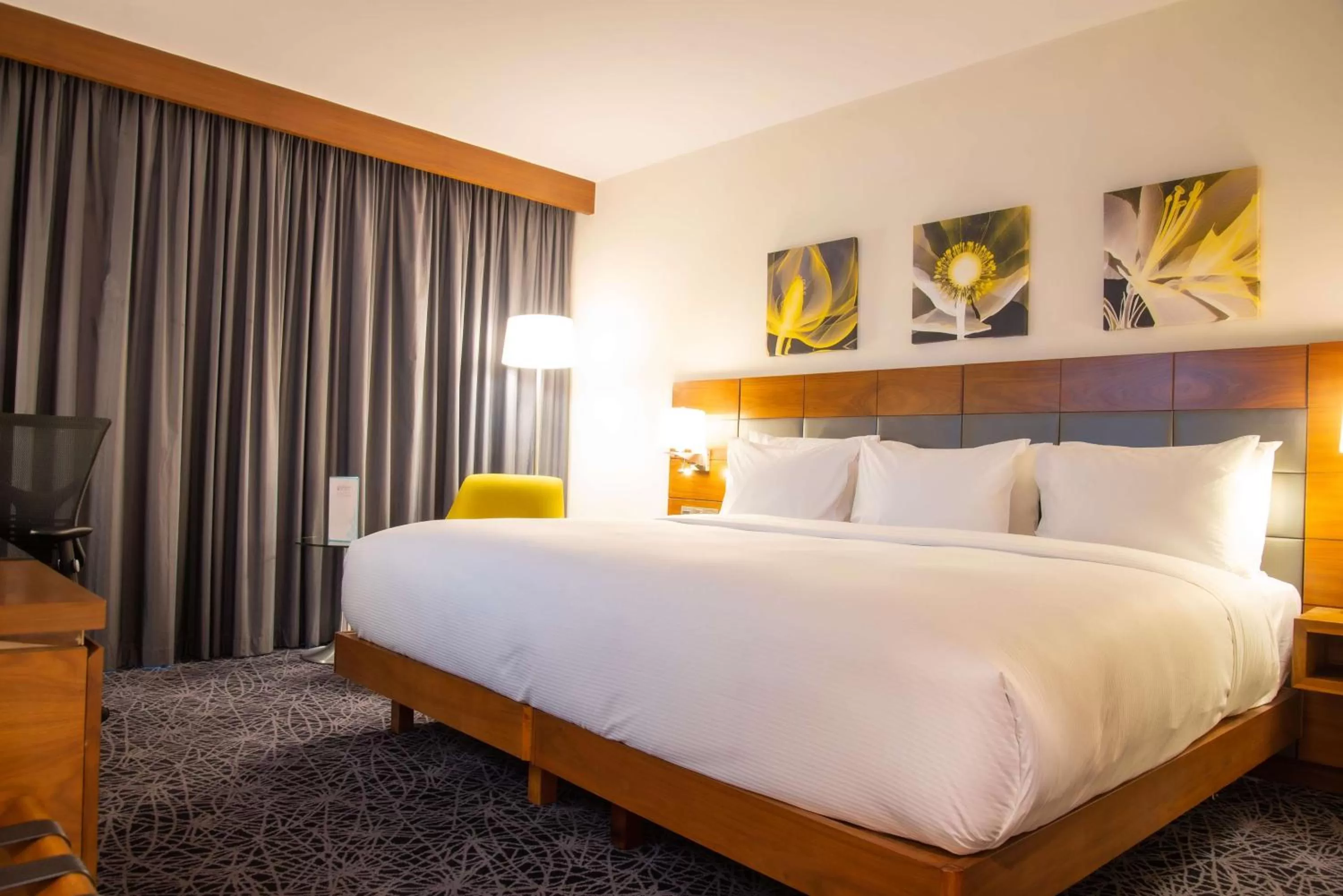 Deluxe King Room in Hilton Garden Inn Nairobi Airport