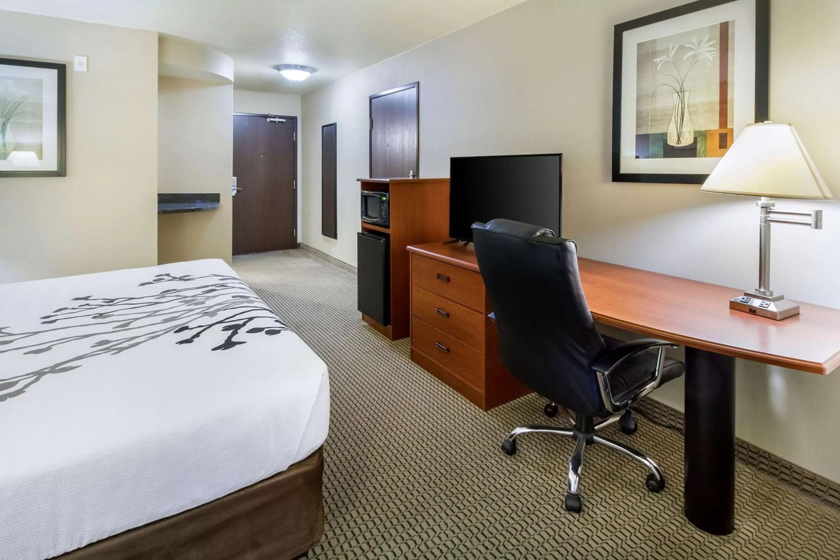 Deluxe King Room - Non-Smoking in Sleep Inn & Suites Rapid City