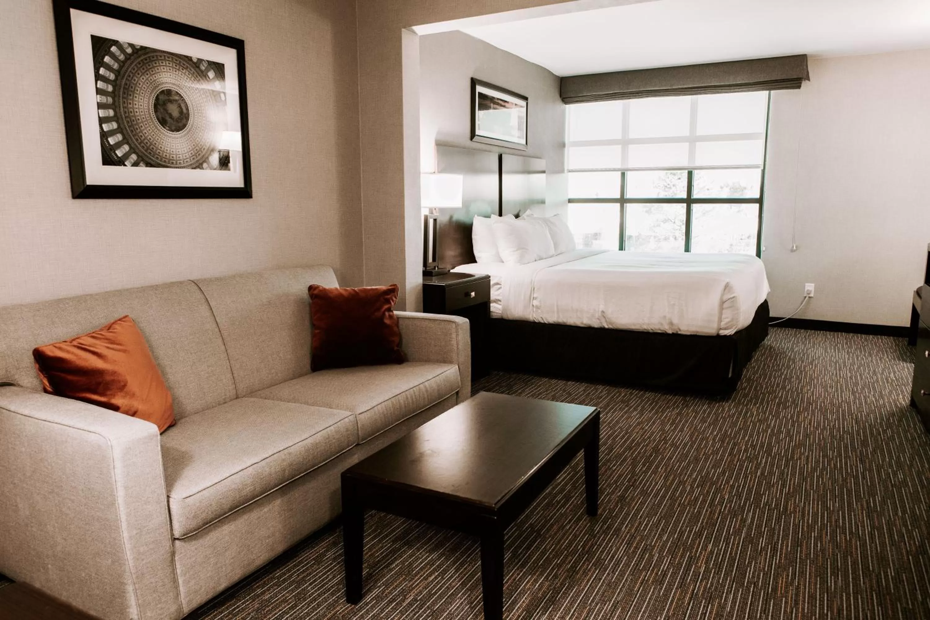 Deluxe King Room - Non-Smoking in Wingate by Wyndham - Dulles International