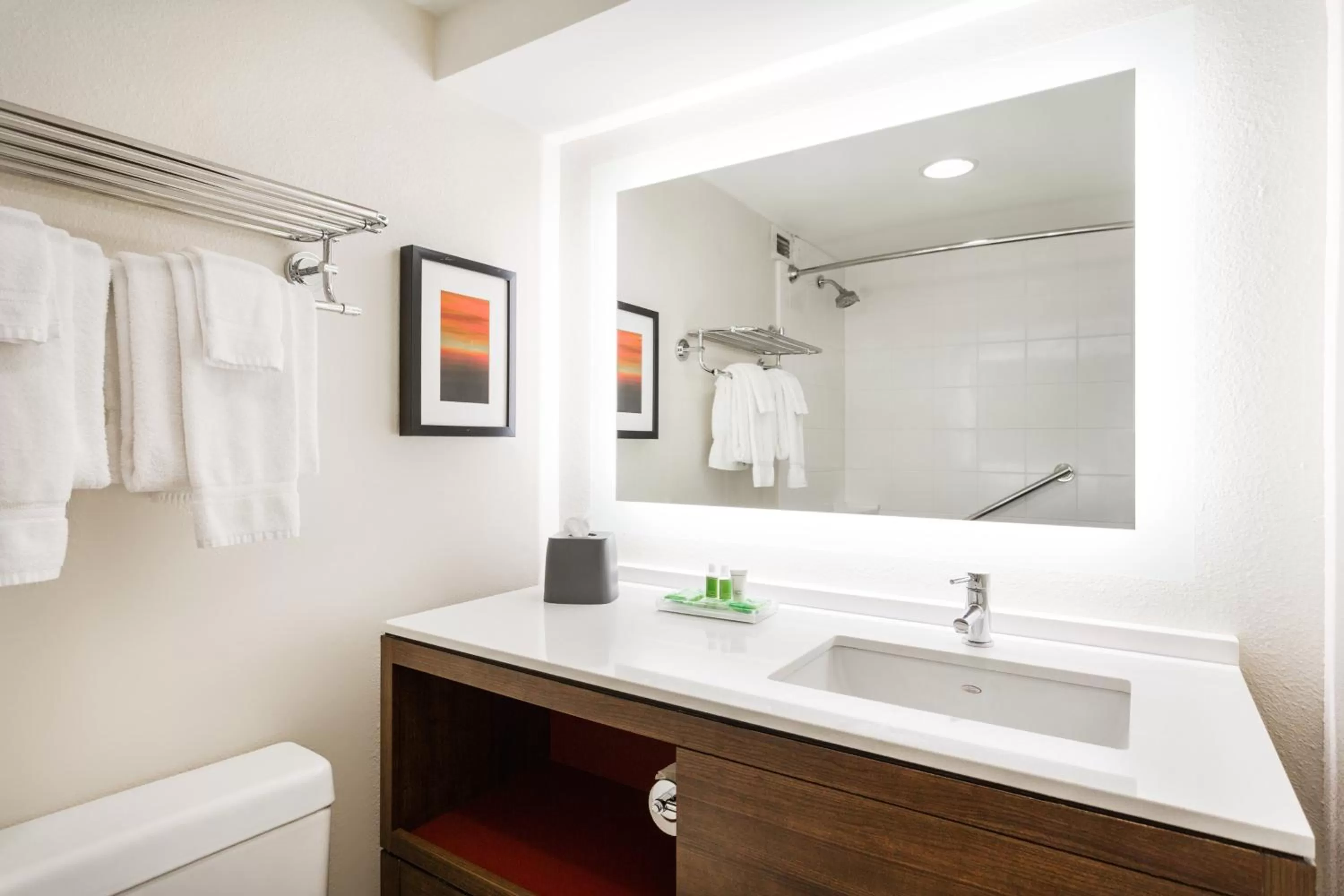 Deluxe Queen Suite in Holiday Inn Timonium, an IHG Hotel