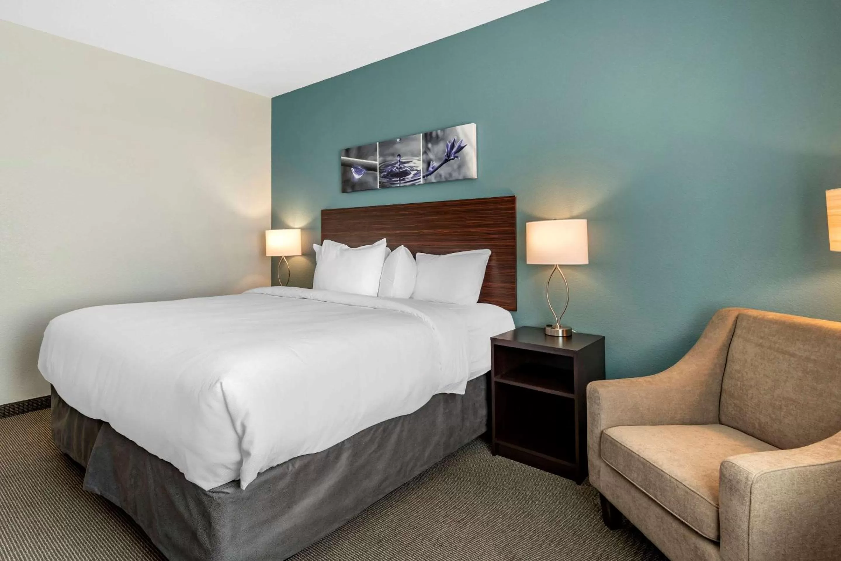 King Room - Accessible/Non-Smoking in Sleep Inn Durango