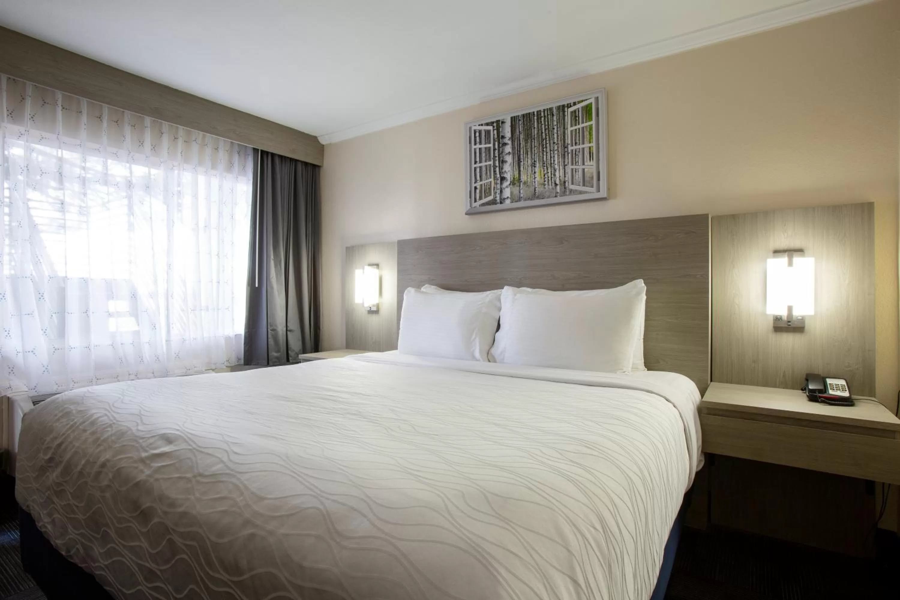 King Room in Hotel Aspen Flagstaff/ Grand Canyon InnSuites