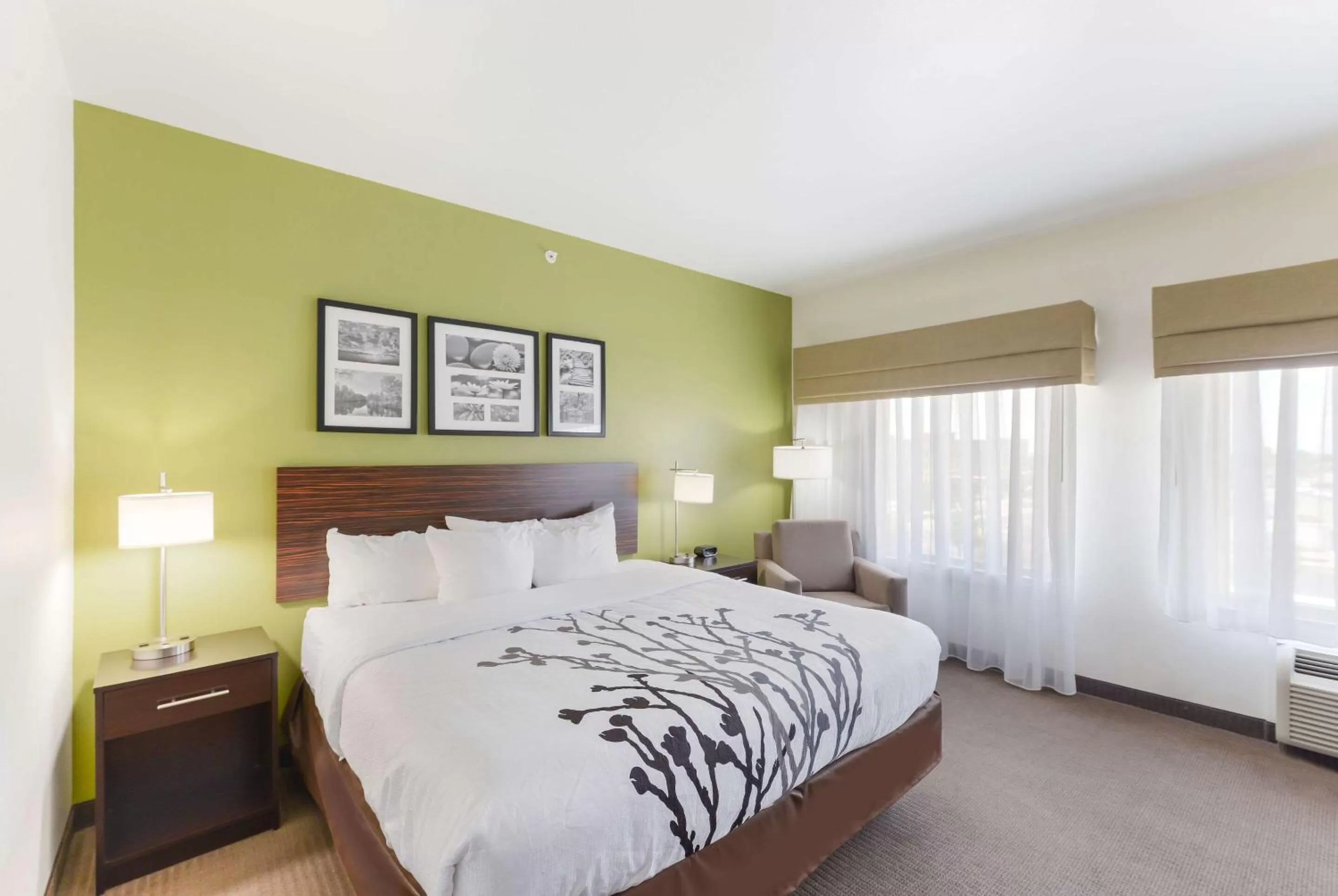 King Room - Non-Smoking in Sleep Inn & Suites Midland West