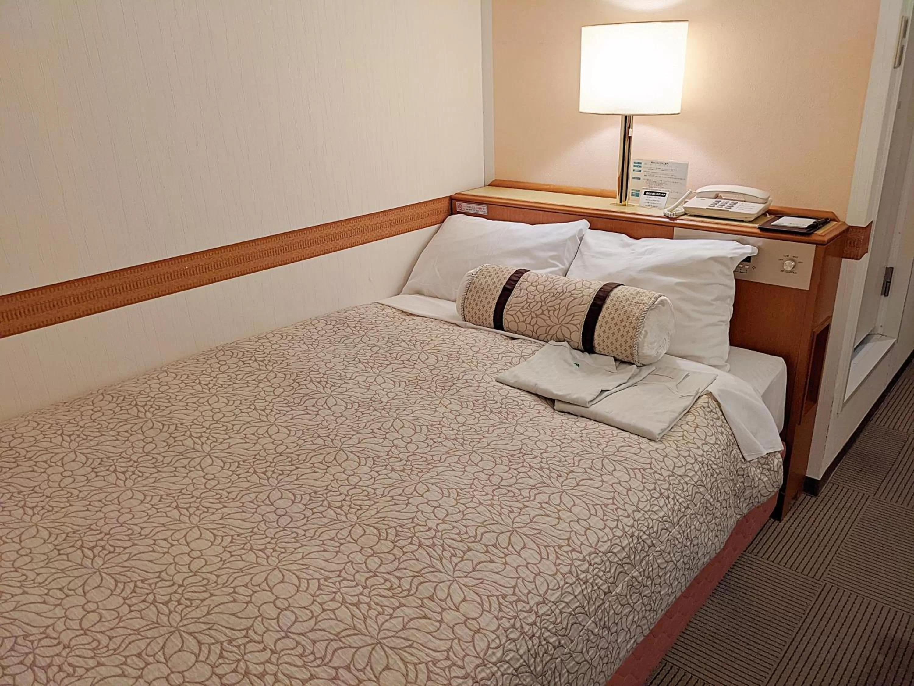 Economy Double Room in Ace Inn Kariya