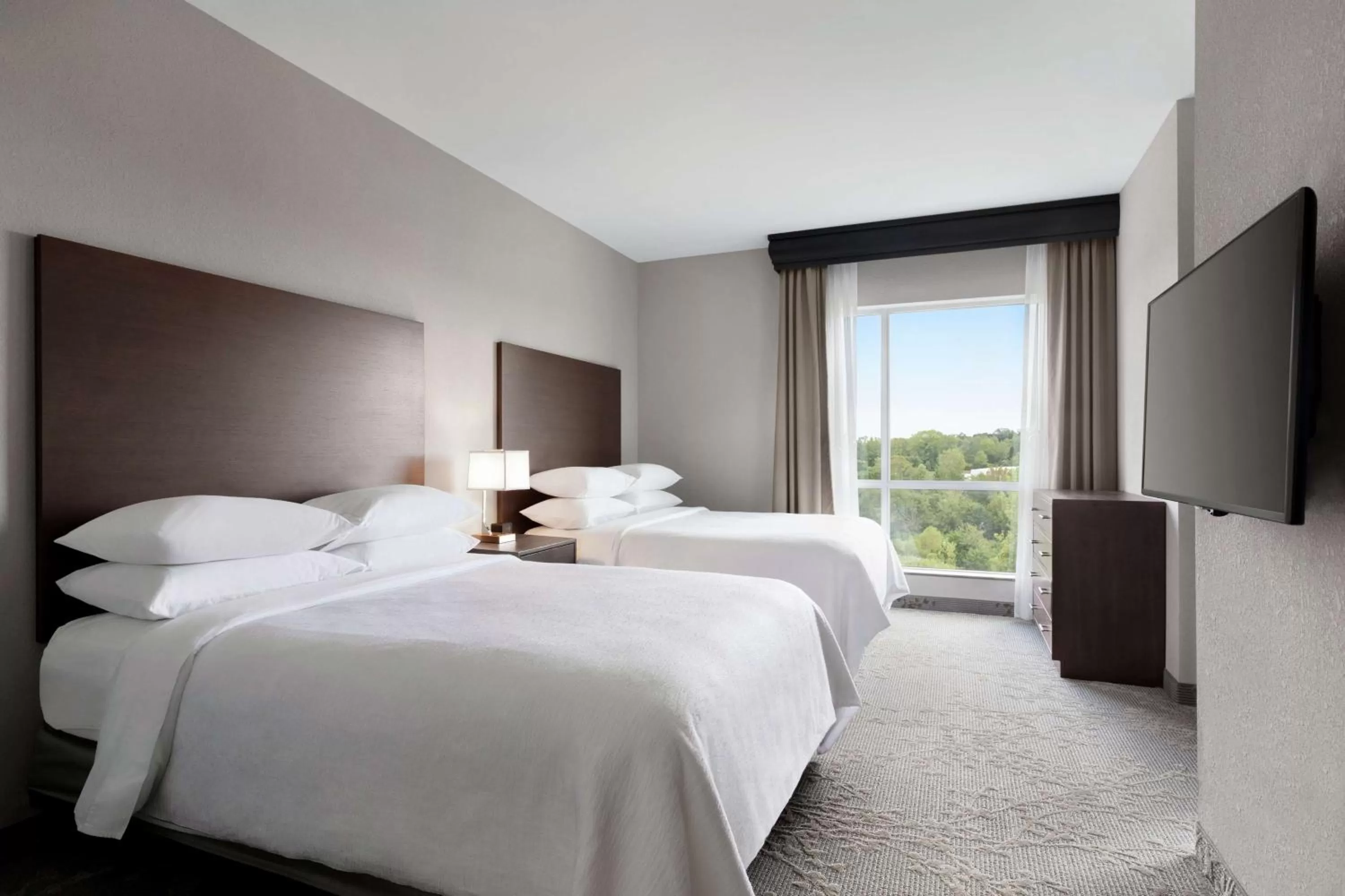 Two Room Queen Suite with Roll In Shower - Mobility Access in Embassy Suites Charlotte/Ayrsley