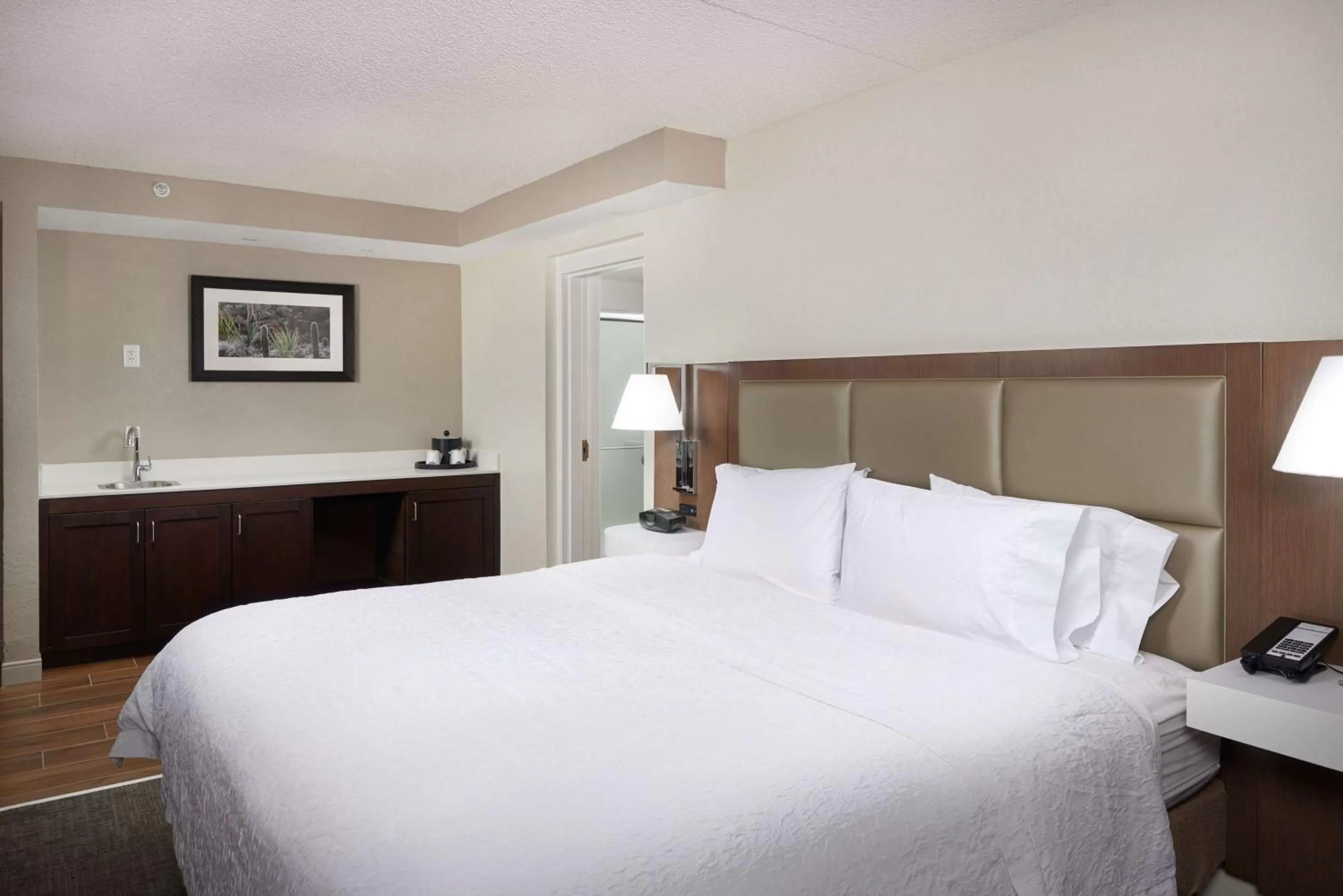 King Suite- Non-Smoking in Hampton Inn Glendale-Peoria