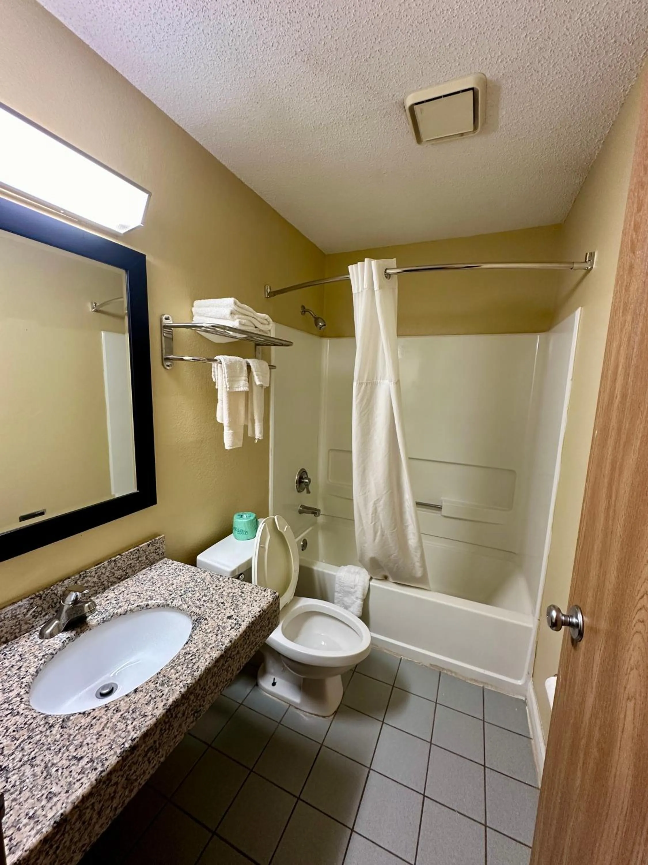 King Room in American Inn-Alexander City