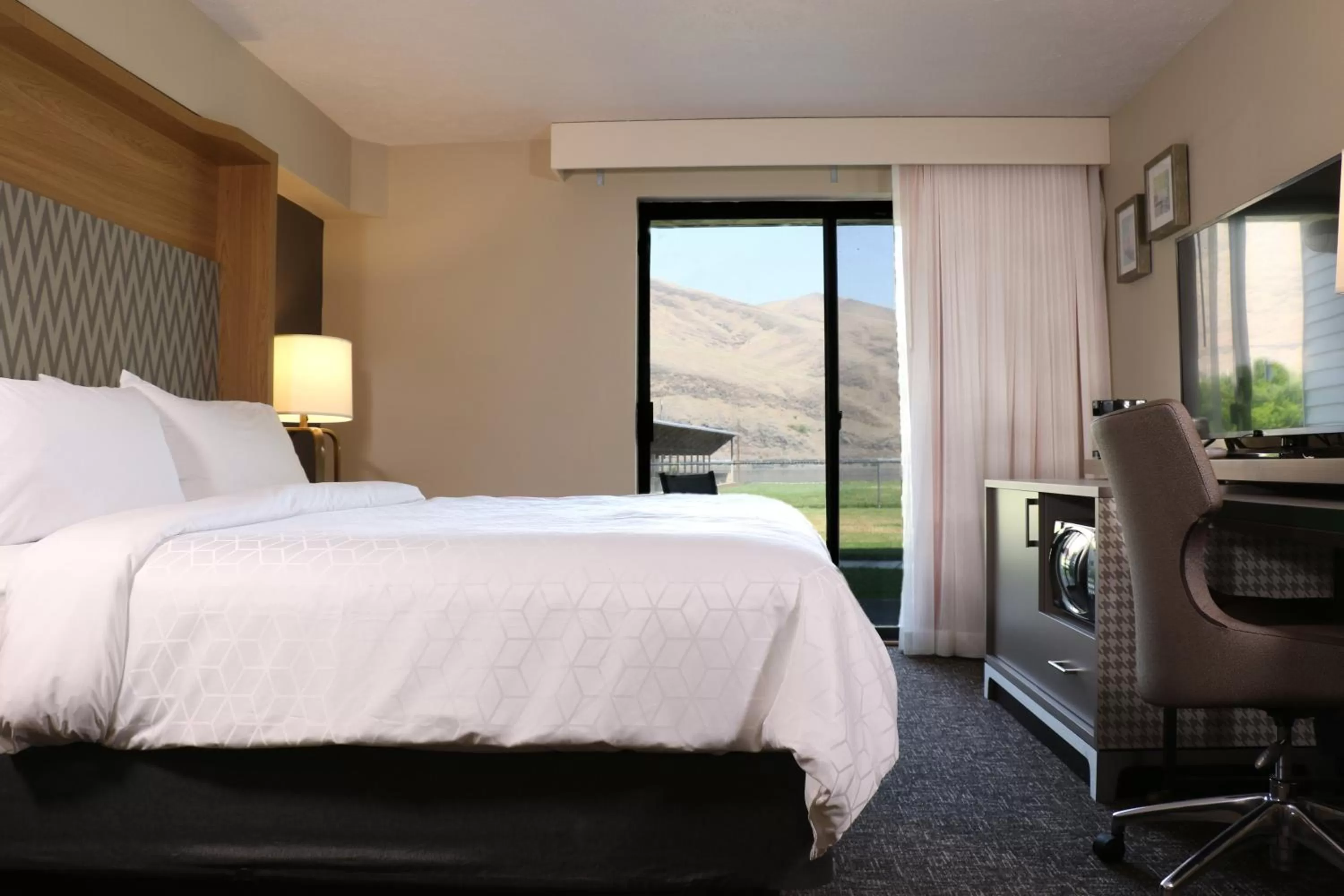 Standard King Room with River View - single occupancy in Holiday Inn Clarkston - Lewiston by IHG