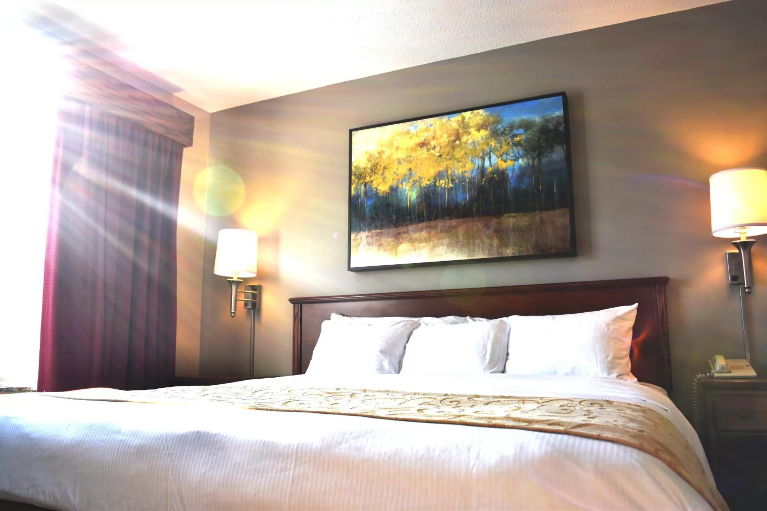 One-Bedroom Suite in Country Inn River Falls