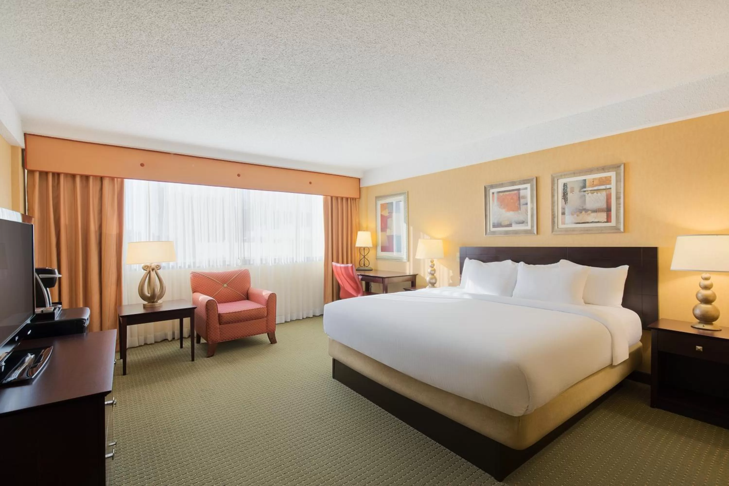 Poolside King with Sofabed in University Plaza Hotel