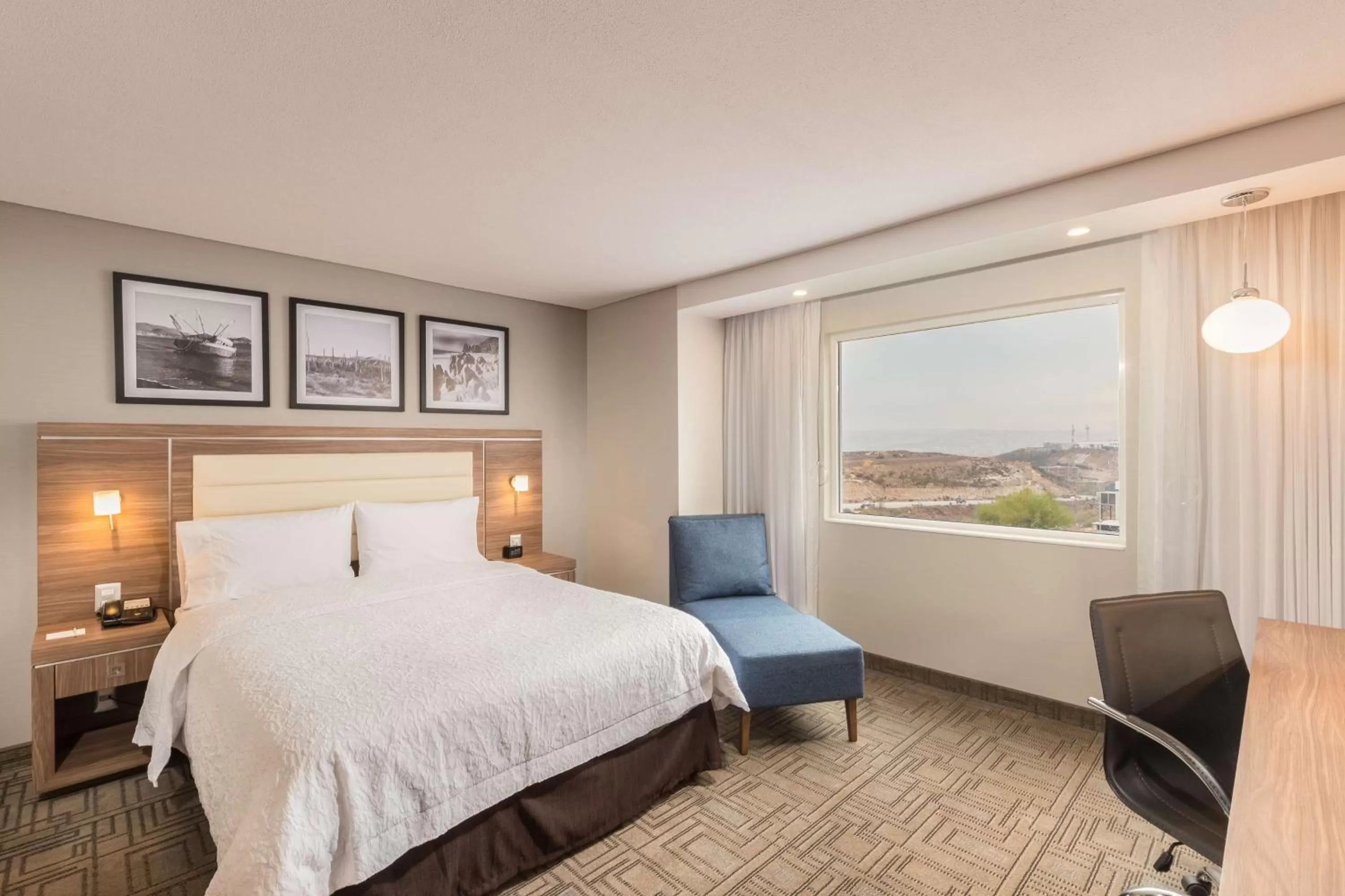 Single Room - Disability Access in Hampton Inn By Hilton Tijuana