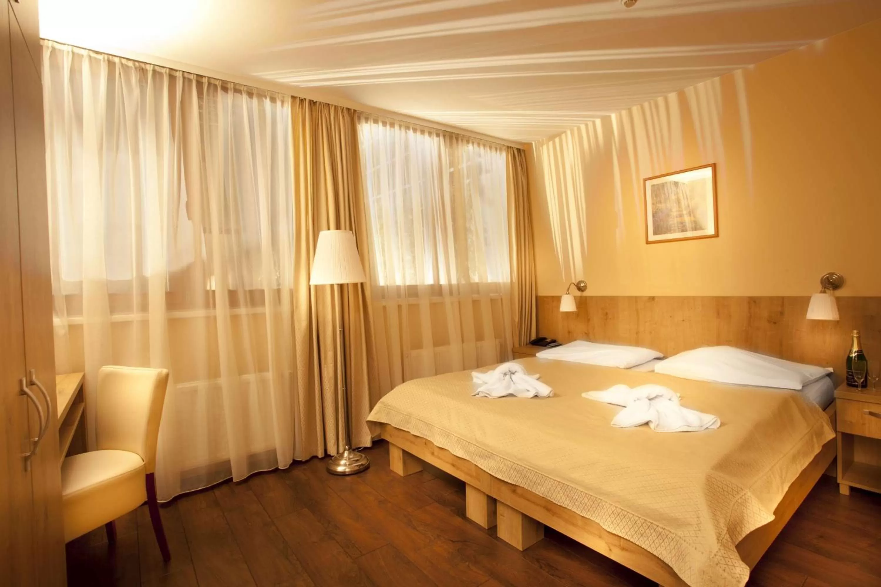 Superior Double or Twin Room in Hotel Superior Prague