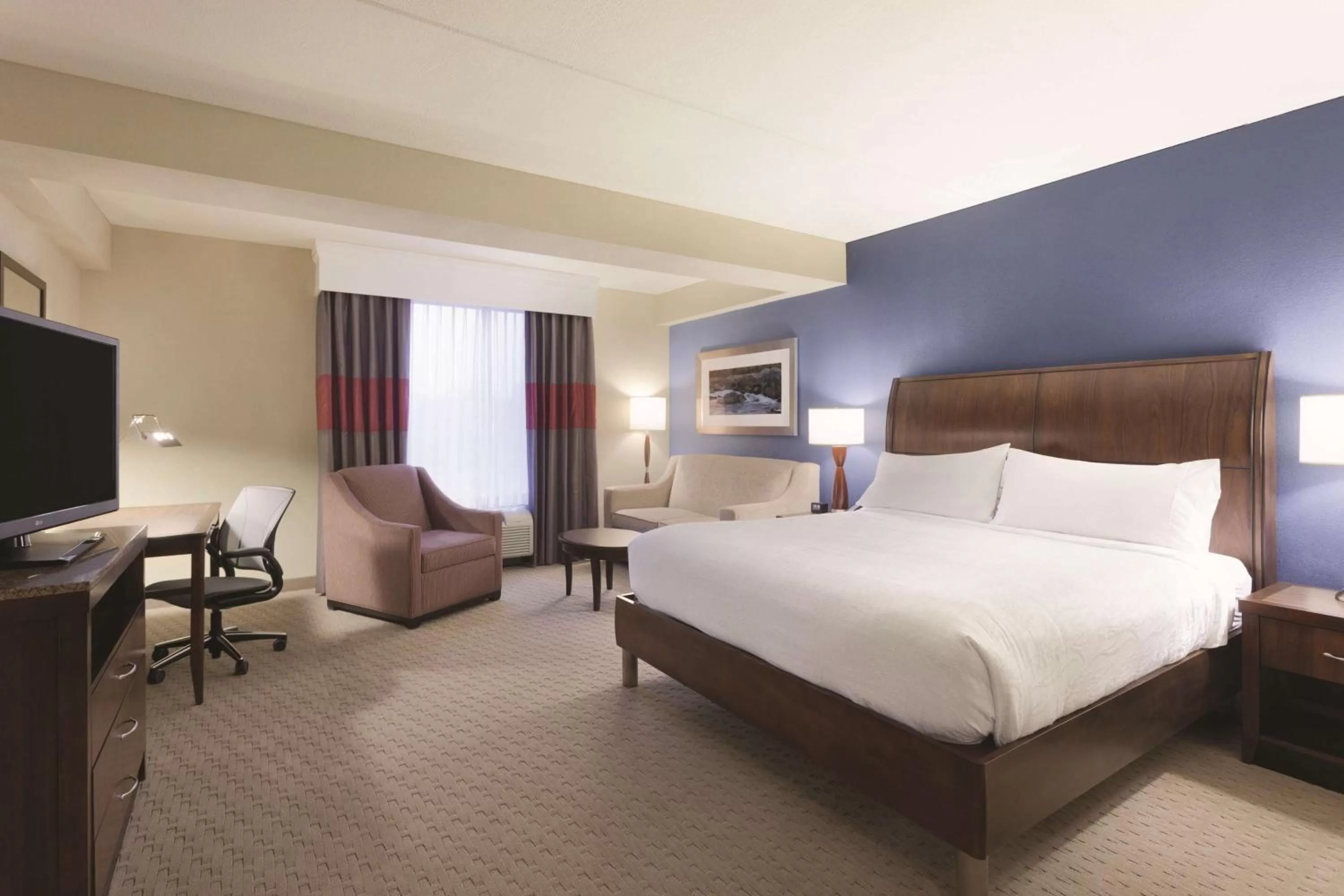 Executive King Room in Hilton Garden Inn Falls Church