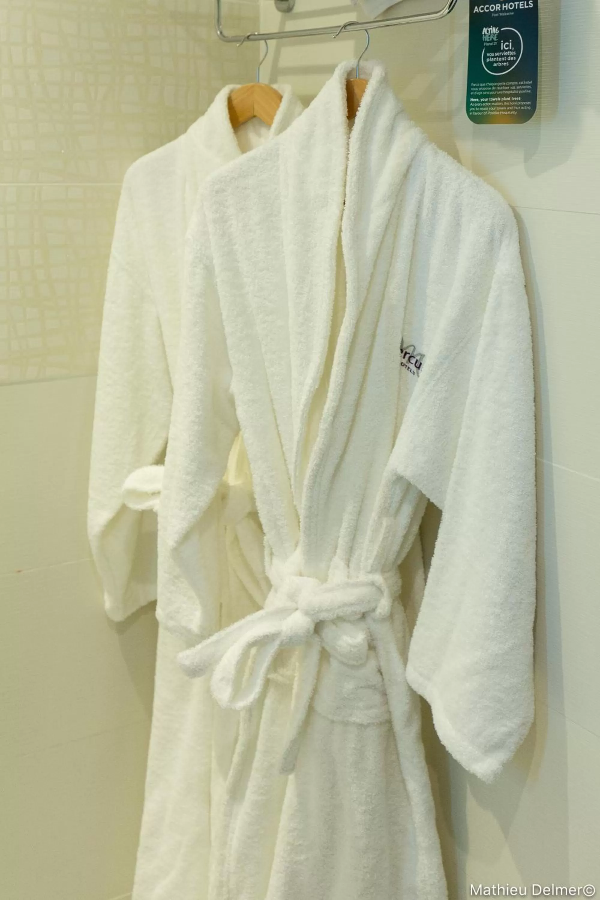 Standard Suite with One Double Bed and One Sofa in Mercure Cayenne Royal Amazonia