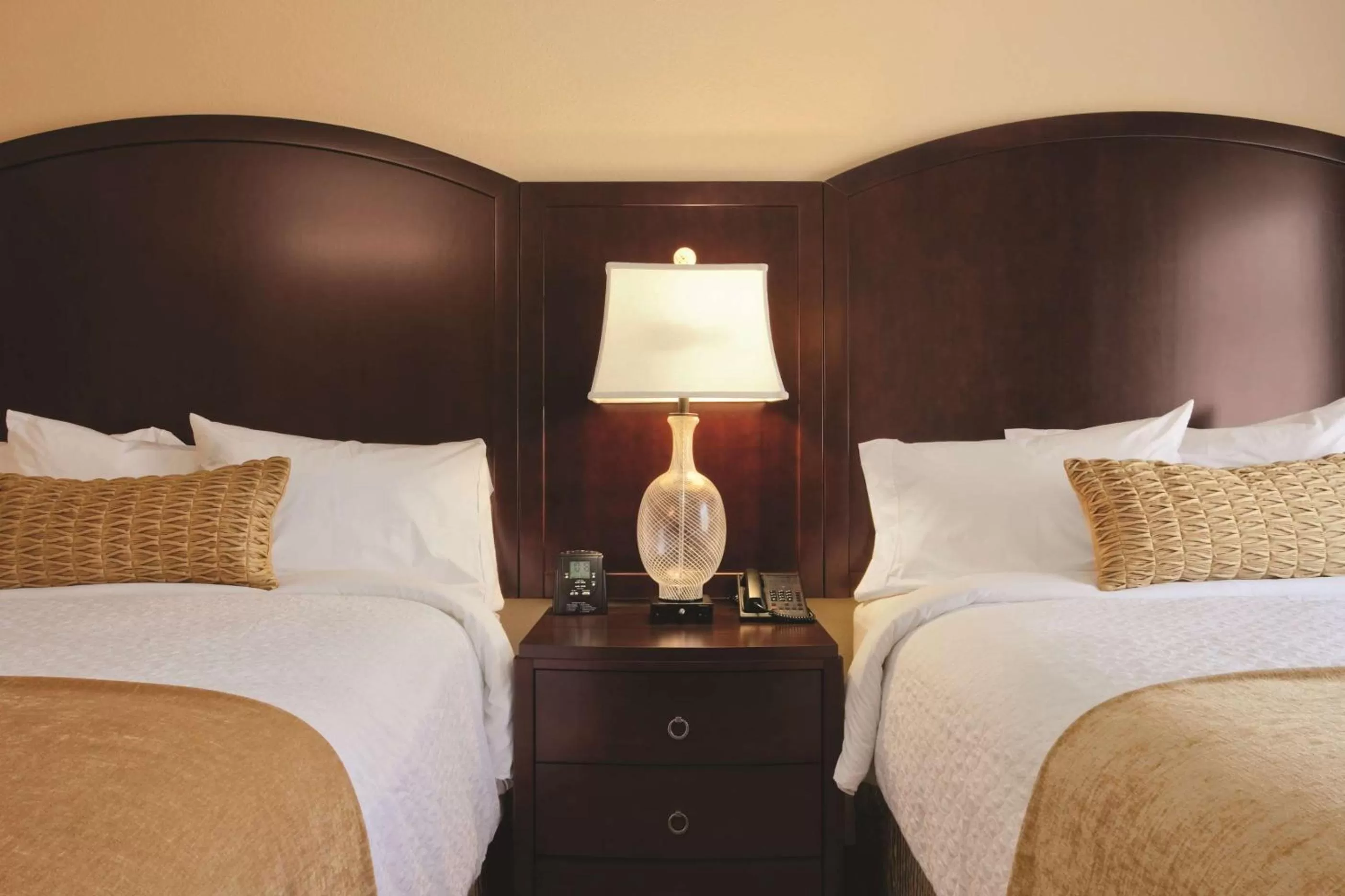 Deluxe Queen Room-Hearing Accessible  in Embassy Suites by Hilton Orlando Lake Buena Vista South