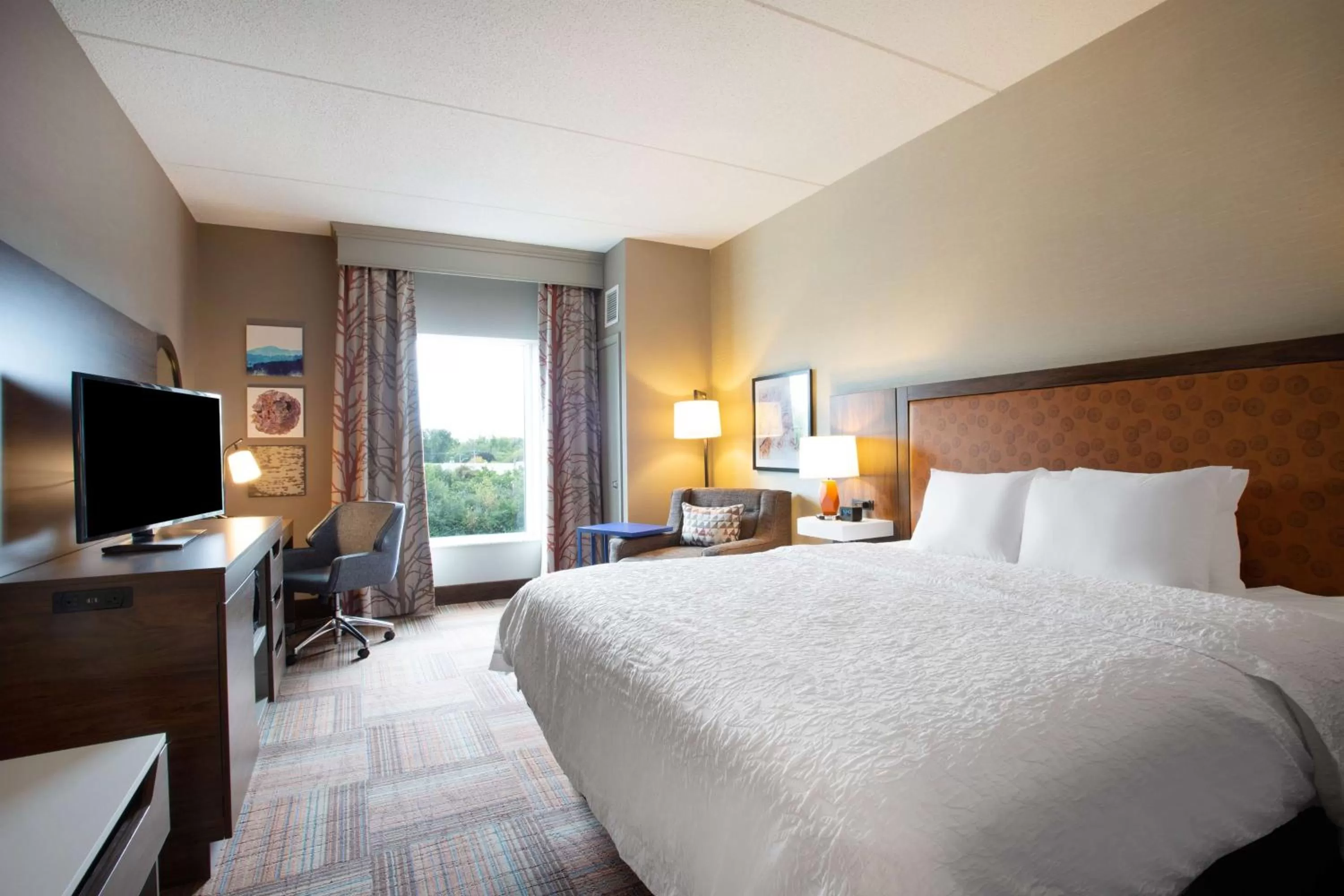 King Room - Non-Smoking in Hampton Inn Watertown