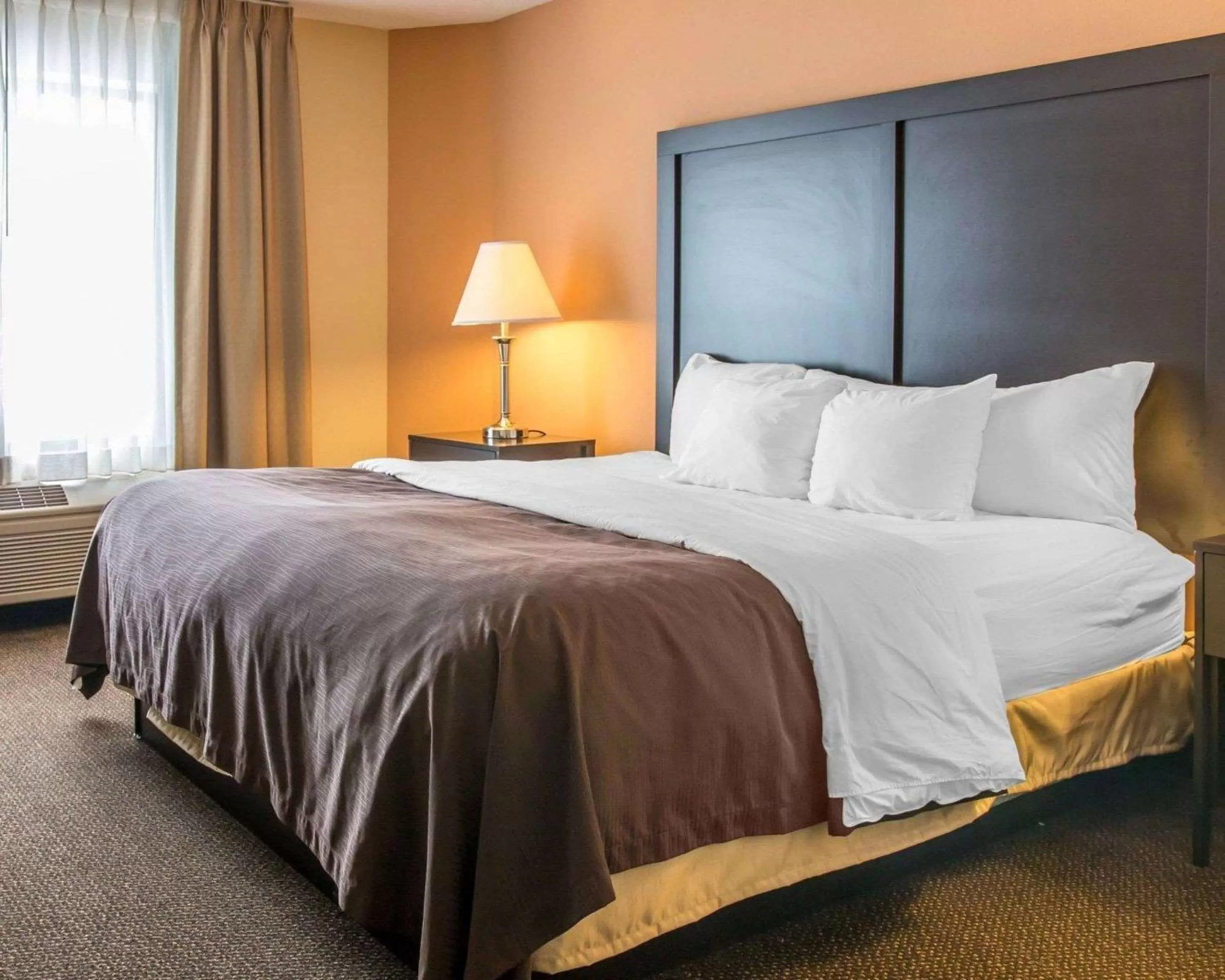Standard King Room with Roll In Shower - Accessible/Non Smoking in Quality Inn & Suites Niles