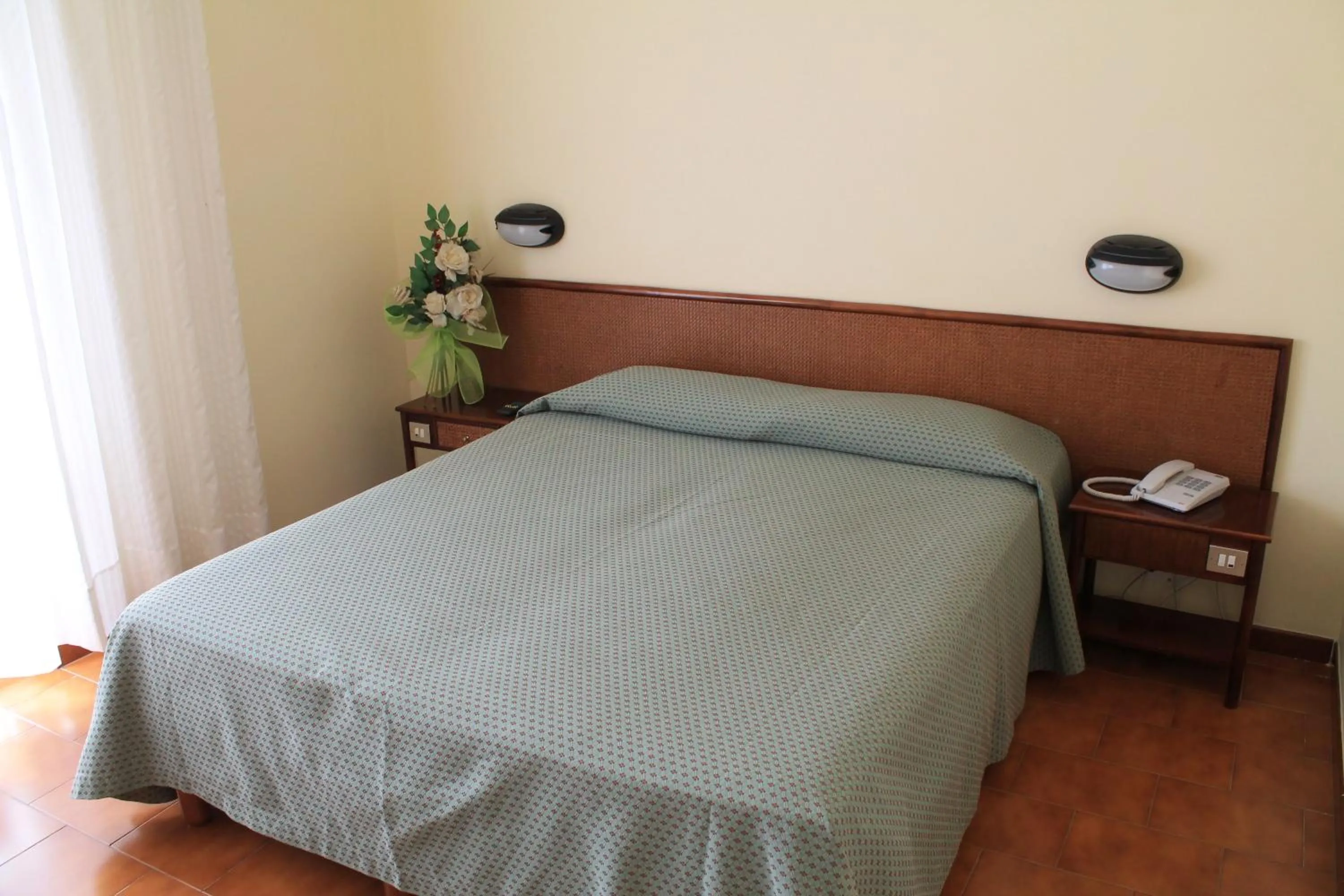 Double Room in Hotel Minerva