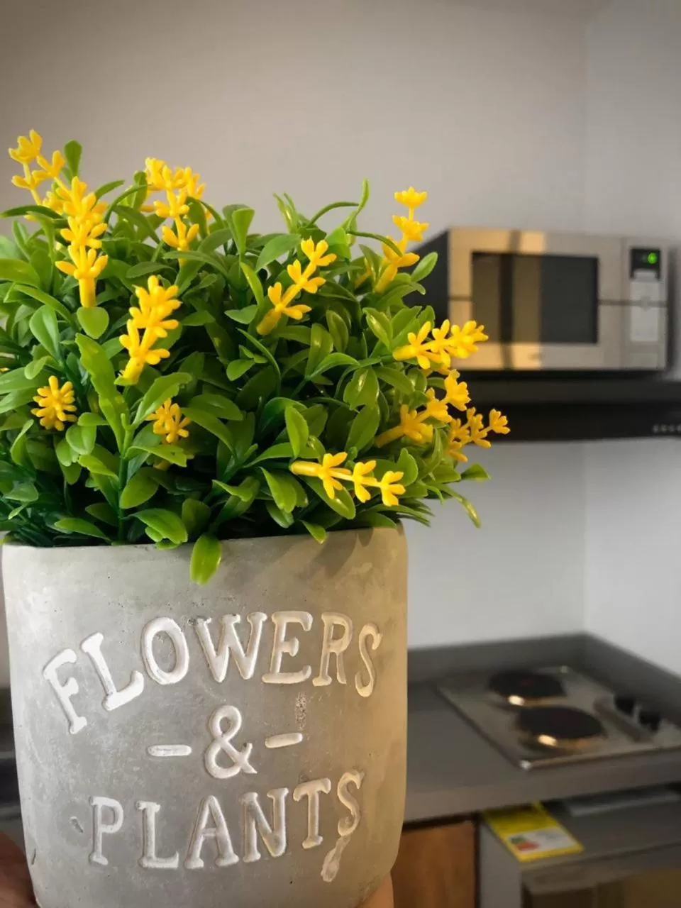 Standard Queen Room - single occupancy in Kapital Suites