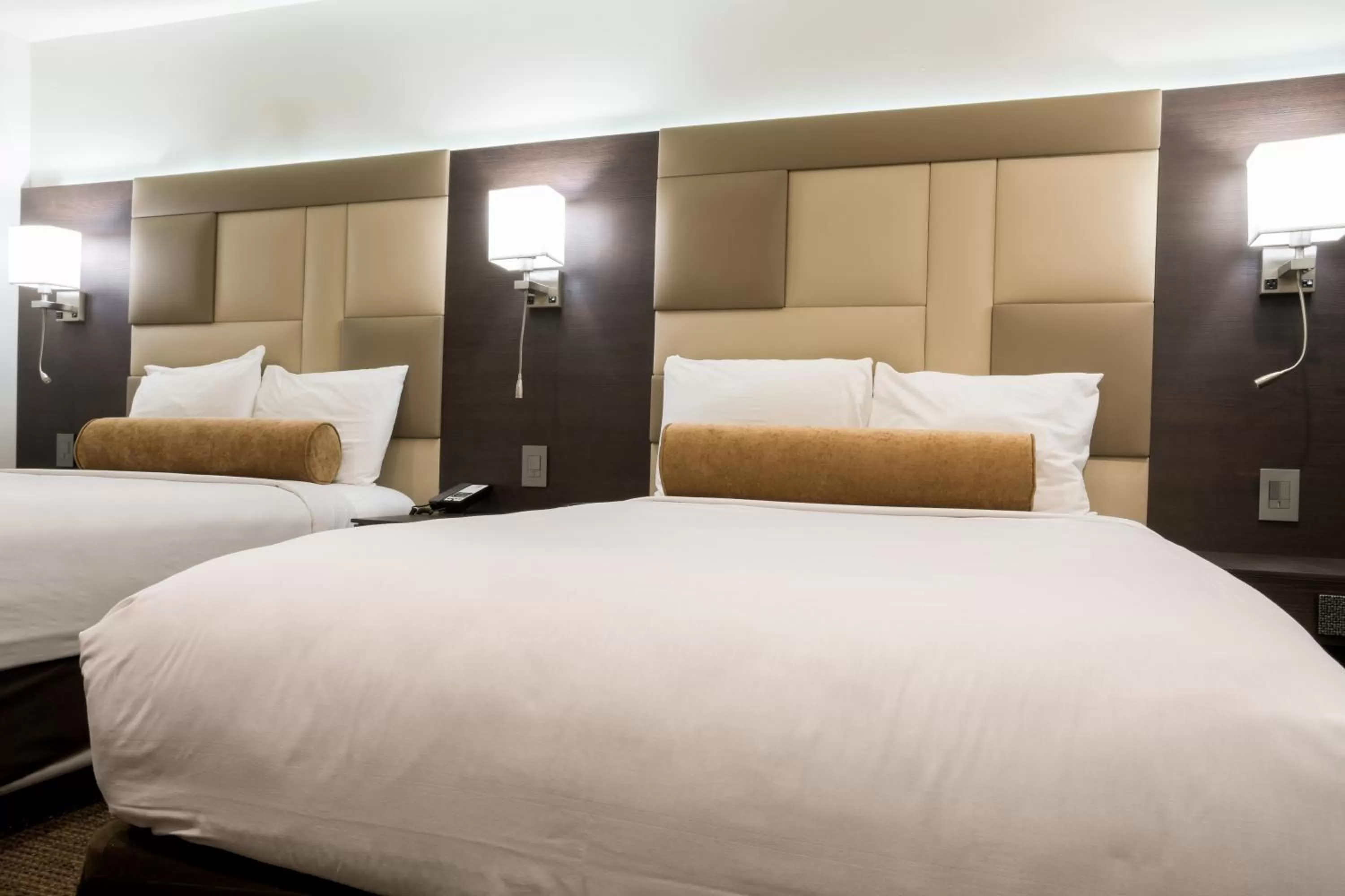 Deluxe Double Room in Hotel Xilo Glendale